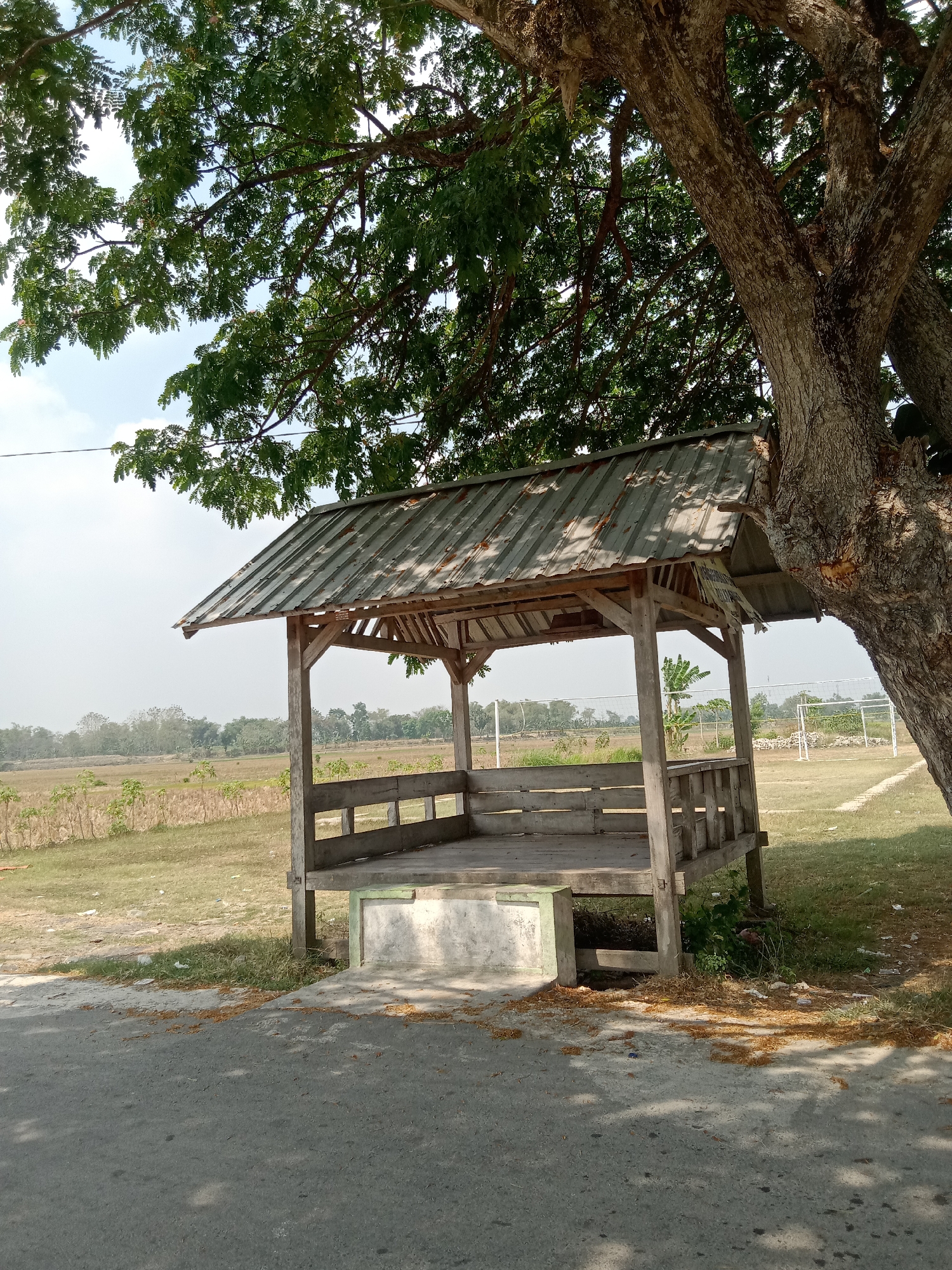 The image depicts an outdoor scene in Mayangkawis, Indonesia, under a large tree. In the foreground, a paved road with dappled shadows runs horizontally across the bottom of the frame. To the right of the road, the thick, textured trunk of a large tree dominates the right side of the image, its branches and leaves extending into the upper portion of the frame.
Beneath the tree's canopy, a weathered wooden gazebo stands. The gazebo has a sloped, corrugated metal roof, supported by wooden posts. Its open sides reveal a wooden floor and low wooden railings. The gazebo is elevated slightly, with a concrete base and steps leading up to it. The surrounding ground is a mix of dry grass, sparse vegetation, and scattered brown leaves.
In the background, a flat, open field stretches out. Further in the distance, a line of trees and vegetation marks the horizon under a hazy sky. Faintly visible on the right side of the background field are what appear to be volleyball nets and poles, suggesting the presence of a sports area. The overall impression is one of a quiet, semi-rural location, possibly a park or recreational area, on a dry, sunny day. No people are visible in the image.