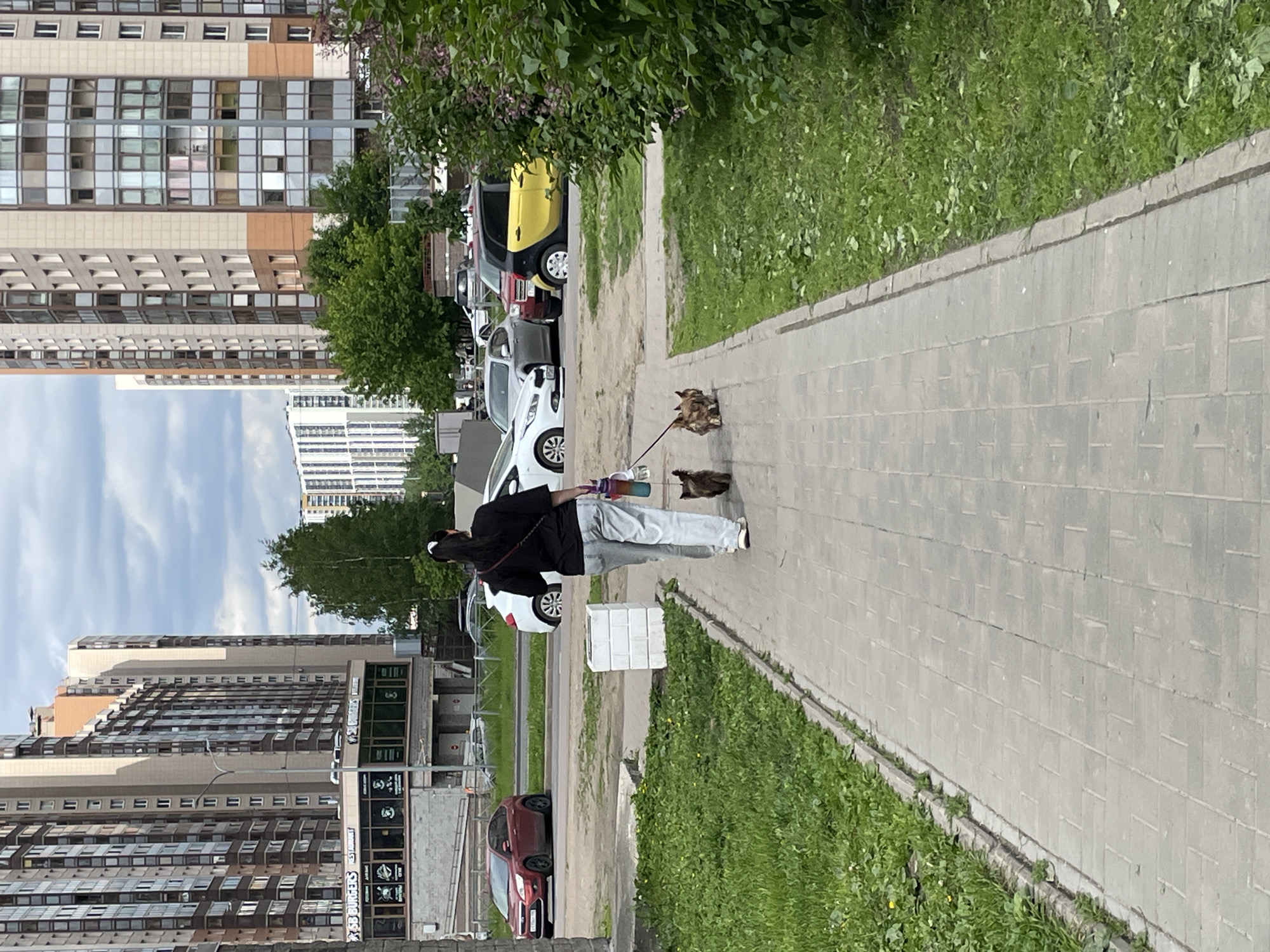 A person is seen walking two small dogs on leashes along a paved sidewalk in an urban setting in Saint Petersburg, Russia. The individual, dressed in a black top, light-colored pants, and white sneakers, has dark hair tied back and holds a multi-colored water bottle in one hand along with the leashes. One dog, brown in color, walks slightly ahead, while the other, lighter-colored dog, is closer to the person.
The scene takes place on a bright day, likely late morning or afternoon, with clear skies visible in the background. To the right of the sidewalk is a strip of green grass with some foliage and trees. To the left, a street is lined with parked cars of various colors, including a yellow compact car, a white hatchback, and a red sedan.
In the background, several tall, modern residential buildings with numerous windows are visible. One of these buildings features commercial establishments on its lower levels, with readable signs for "KFC" and "262 BURGERS." A white, rectangular, block-like object, possibly a planter or bollard, is positioned on the grass next to the sidewalk near the person. The overall atmosphere is that of a casual daily activity in a bustling city environment.