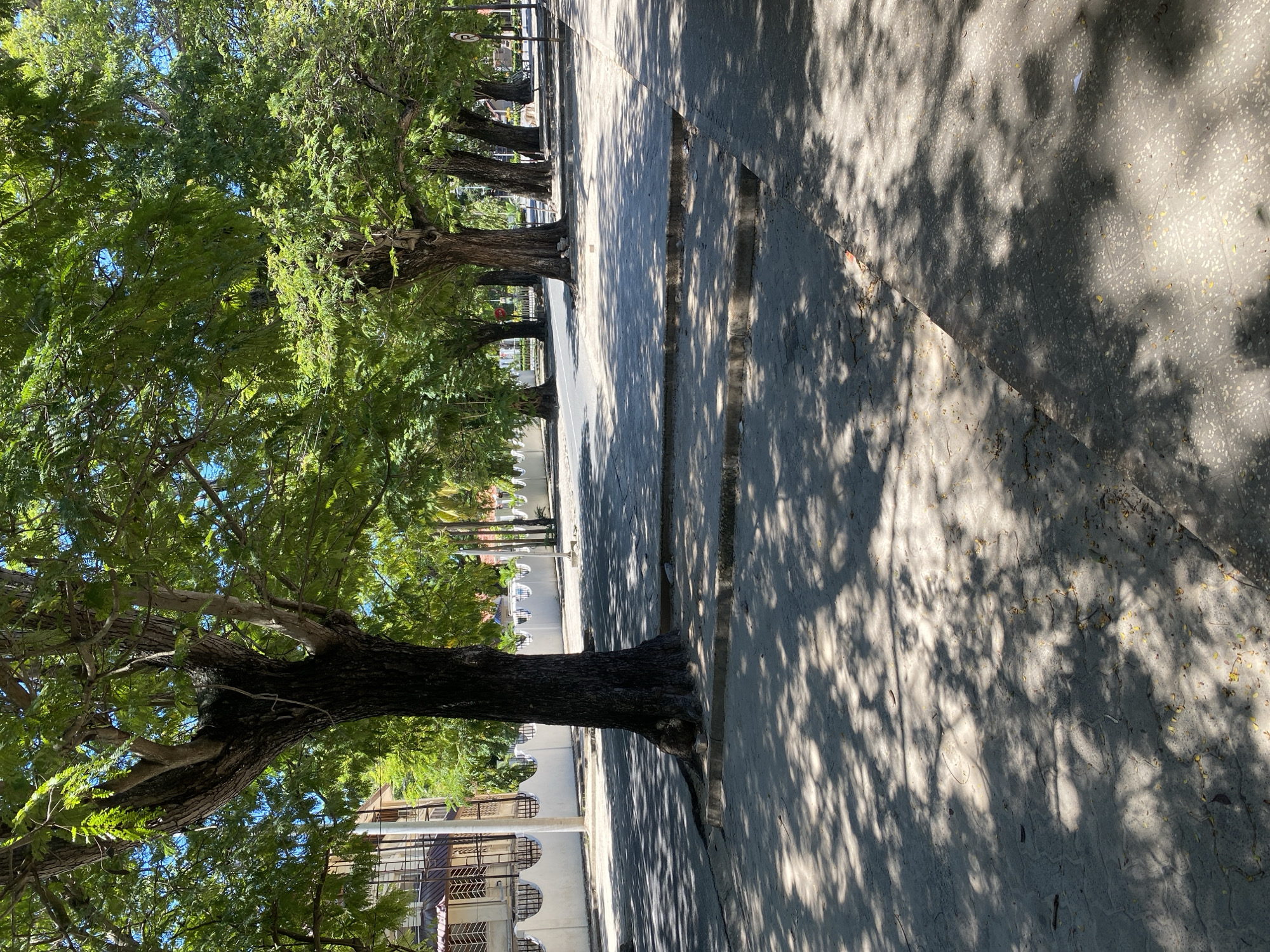 The image captures a street scene in Dar es-Salaam, Tanzania, characterized by a row of mature trees lining the sidewalk. The trees cast intricate shadows across the paved surface, creating a dappled light effect. The sidewalk is divided into distinct sections with visible seams. Beyond the trees, buildings with architectural details such as arched windows can be observed. The overall impression is one of a peaceful, tree-lined urban space. A car is parked farther down the street. There are few signs of pedestrian activity.