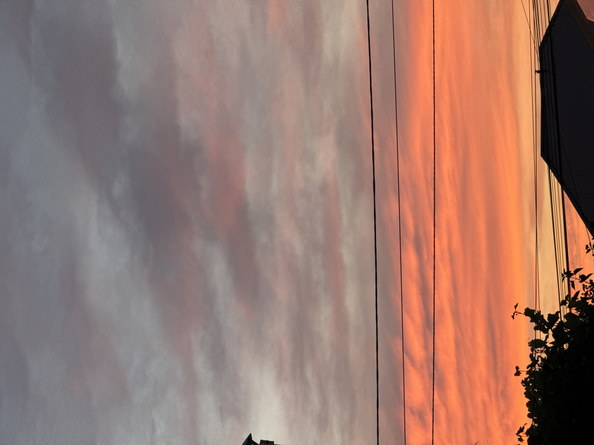 The image depicts a sunset sky over a residential area in Mikhaylovsk, Russia. The sky is filled with clouds painted in hues of gray, pink, and vibrant orange, indicating the sun is setting. Several power lines are visible horizontally across the frame, casting shadows. In the foreground, the silhouette of tree branches and a portion of a dark-colored roof are visible. The scene is static and captures a moment of natural beauty within an urban or suburban setting.