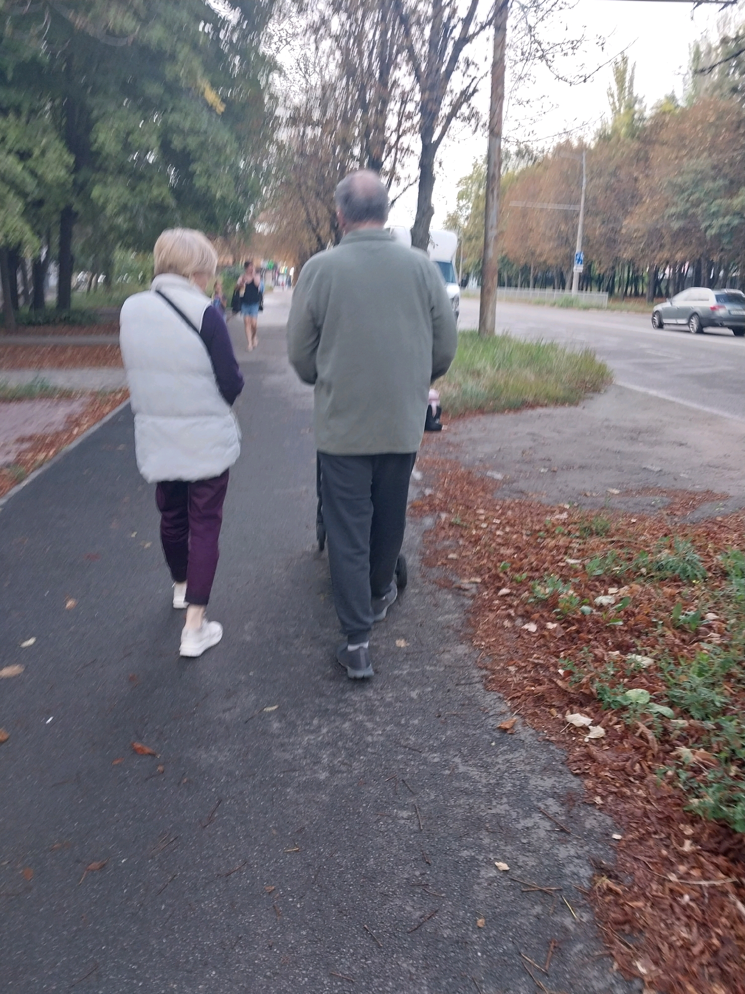 Two individuals are walking on a paved path in Dnipro, Ukraine. A woman with blonde hair, wearing a light-colored vest over a dark purple top and purple pants, walks on the left. To her right, a man wearing a green jacket and dark pants is on a scooter. Both are walking away from the camera. The path is bordered by grass and fallen autumn leaves on the right and trees on the left. A road with a silver car is visible further to the right. The overall lighting suggests it is daytime, possibly overcast.