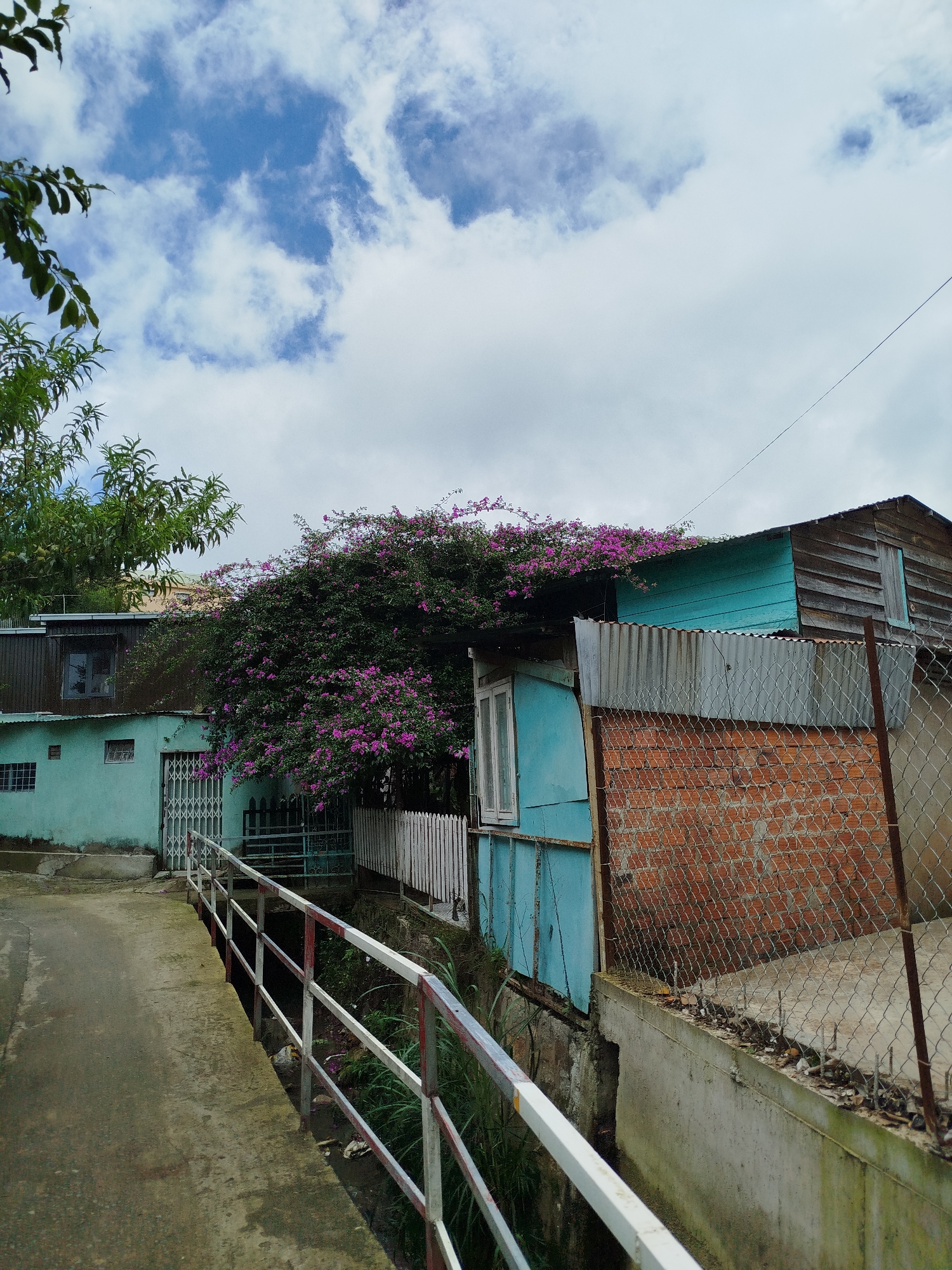 This image captures a rustic residential scene in Da Lat, Vietnam, featuring houses built along an inclined concrete path under a partly cloudy sky. The scene is devoid of people and visible text.
In the foreground, a white and red painted metal railing runs along the right edge of a concrete path, which slopes uphill. Below the railing, there appears to be a drainage channel or a lower ground level with some greenery.
To the left, a light teal-colored house with small, barred windows and a white, cross-hatched metal gate is partially visible. Lush green tree foliage extends into the frame from the upper left. A dominant feature is a large, vibrant bougainvillea plant with numerous purple blossoms, cascading over the roof and walls of an adjacent structure.
Further to the right, several structures display a mix of materials: light blue wooden siding, weathered wooden planks, corrugated galvanized metal sheets, and exposed red brickwork. One structure has a prominent white-framed window. A chain-link fence separates some of these buildings from the path, supported by rusty metal posts. A thin utility wire is visible against the sky in the upper right quadrant.
The sky is largely overcast with white, wispy clouds, showing patches of blue sky. The overall impression is of a quiet, humble neighborhood, likely during daytime under a mild, cloudy weather condition.
