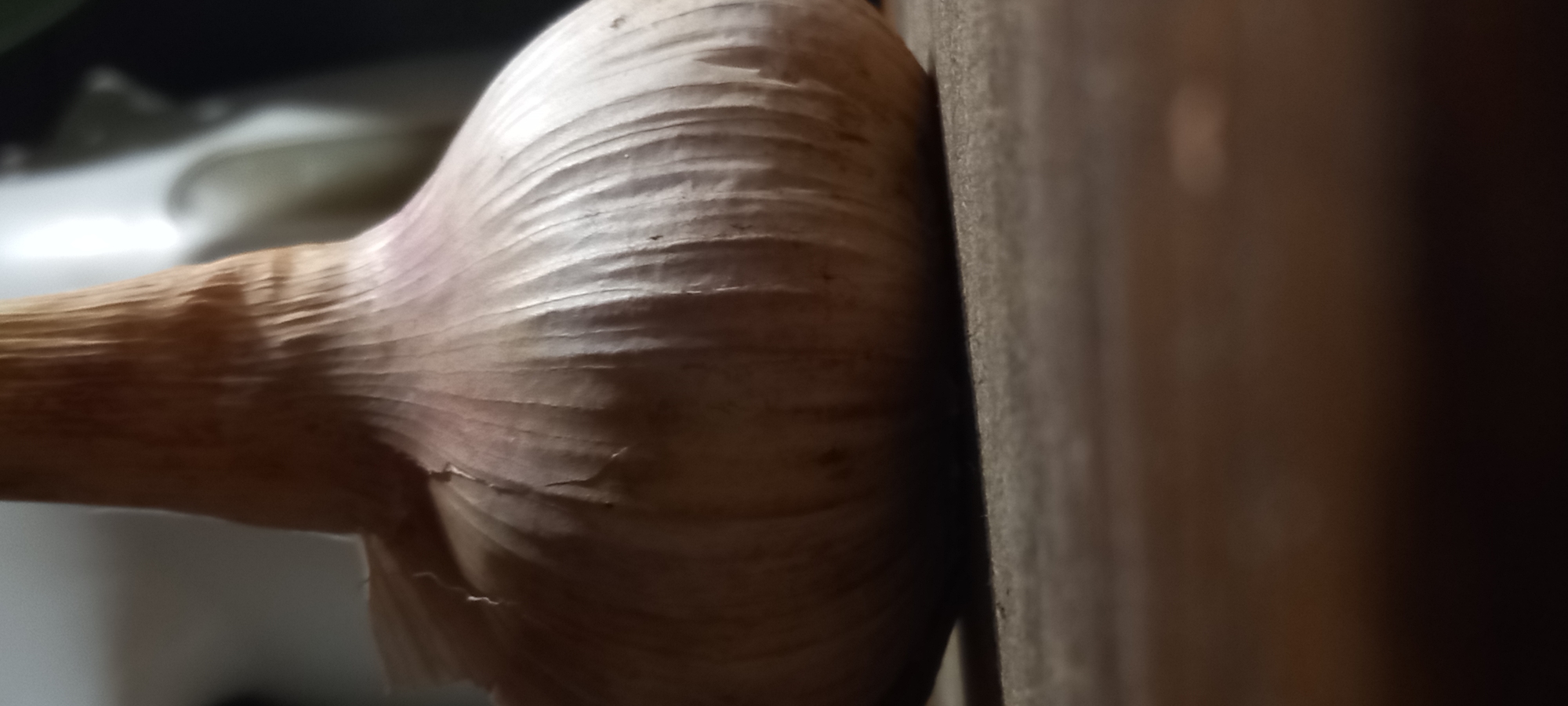 This close-up, horizontally oriented image features a garlic bulb prominently displayed against a blurred background. The main subject is the garlic, occupying the central and left parts of the frame, with its papery outer layers clearly visible. These layers range in color from off-white and beige to light brown, exhibiting fine, undulating ridges and folds that create a distinct, textured surface. Subtle reddish-purple tints are visible beneath the outer skin in some areas. Small, dark specks, possibly dirt or minor imperfections, are scattered across its surface.
To the left, the background is brightly lit and out of focus, suggesting a light source. To the right, the bulb appears to rest against or be next to a dark, vertical surface, possibly made of wood, which is also out of focus, creating a shallow depth of field. This surface could be a cutting board or a table edge. The lighting highlights the contours of the garlic, with shadows emphasizing its three-dimensional form.
No activity or event is taking place; it is a still-life photograph. The scene suggests an indoor setting. There are no people or visible text in the image. The precise time of day is not discernible. While the location context is Kryvyi Rih, Ukraine, there are no specific visual cues within the image to confirm this geographic location.