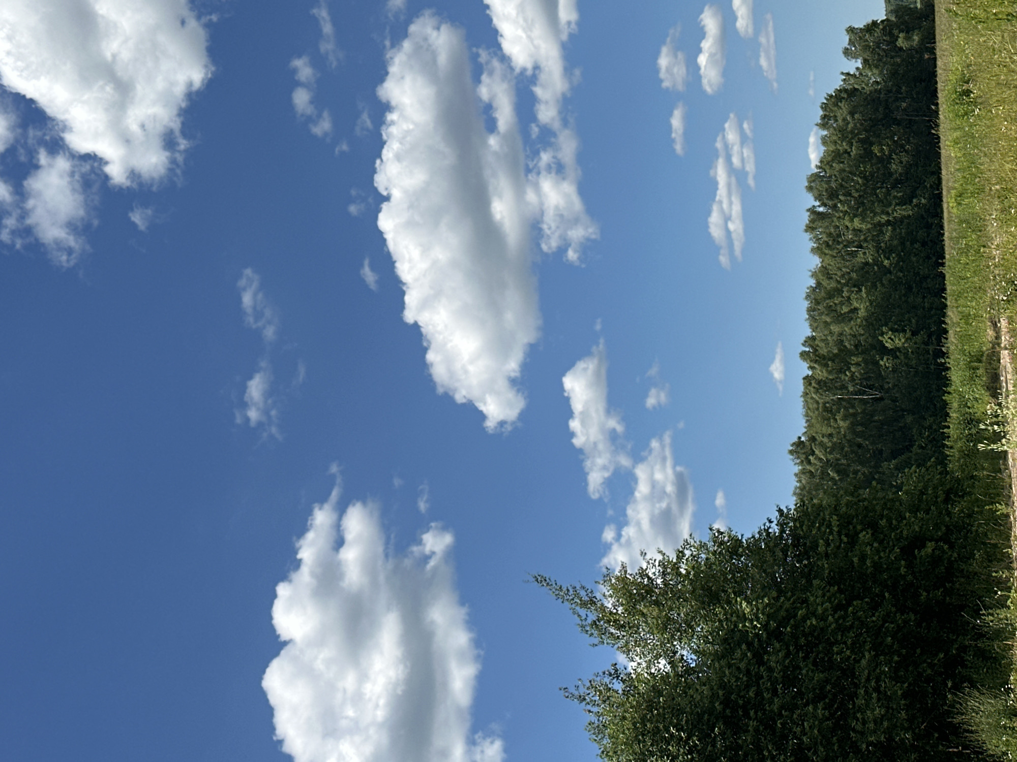 This media file captures a serene outdoor scene under a bright blue sky dotted with fluffy white clouds. The primary subjects are the sky, clouds, a dense line of trees, and a grassy area. The perspective is from a low angle, looking upwards and to the side, creating a sense of expansive space.
The scene appears to be set in a rural or semi-rural environment, possibly a field or the edge of a forest. The presence of lush green trees and a grassy verge suggests a natural landscape. The bright sky and distinct clouds indicate daytime, likely late morning or early afternoon, with fair weather. There are no people or specific objects that would suggest an activity or event; the focus is purely on the natural elements.
Notable details include the texture and formation of the clouds, which vary from thin wisps to larger, more substantial cumulus clouds. The trees form a dark green, textured backdrop, creating a strong contrast with the bright sky. The grassy area on the right side of the frame shows signs of wildflowers, adding a touch of color and detail to the foreground. The overall mood is peaceful and tranquil, reflecting a calm, pleasant day. There is no visible text in the image. Given the provided location context, this scene could be representative of the landscape in Lukovnya, Russia.