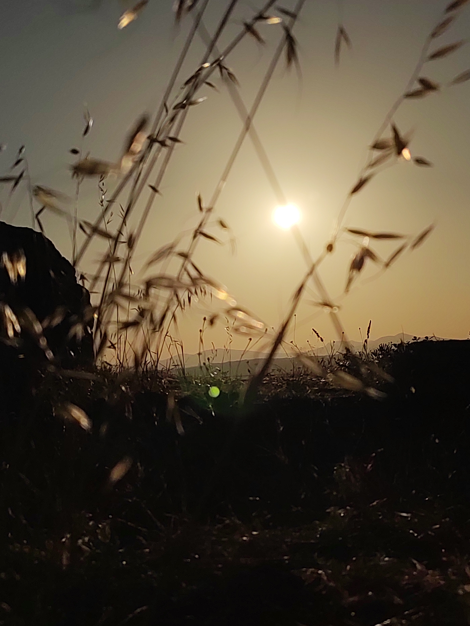 The image depicts a natural scene at dusk or dawn, with the sun visible as a bright orb in the sky, partially obscured by blades of grass. The foreground is dominated by dark, out-of-focus vegetation, suggesting a field or natural area. In the background, rolling hills are silhouetted against the light sky. On the left side of the image, a dark, indistinct shape could be a rock formation or a hillside. The overall atmosphere is serene and natural, with a focus on the interplay of light and shadow. The location is identified as Ledrada, Spain, implying this landscape is representative of the rural surroundings of the town.