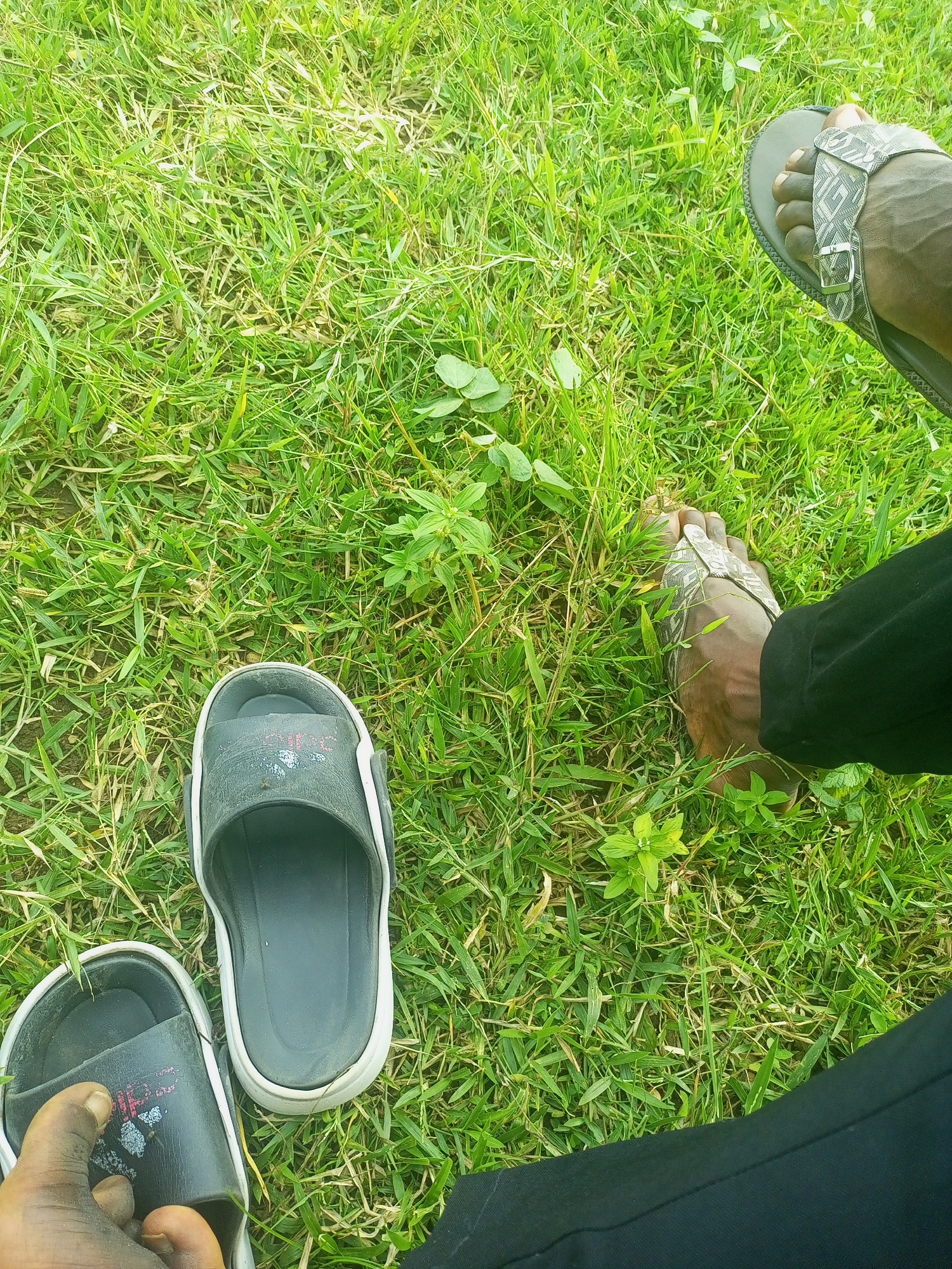 The image shows a close-up view of two pairs of feet wearing sandals, positioned on a grassy area. The feet on the right are wearing grey sandals with a geometric pattern, while the feet on the left are wearing black slides with white trim. The person's legs are partially visible, one wearing black trousers. The environment is a bright, outdoor setting with lush green grass and some small plants. The scene suggests a relaxed, casual moment outdoors. The presence of sandals indicates warm weather. There is no direct indication of the specific location within Takum, Nigeria, beyond it being an outdoor, grassy area.