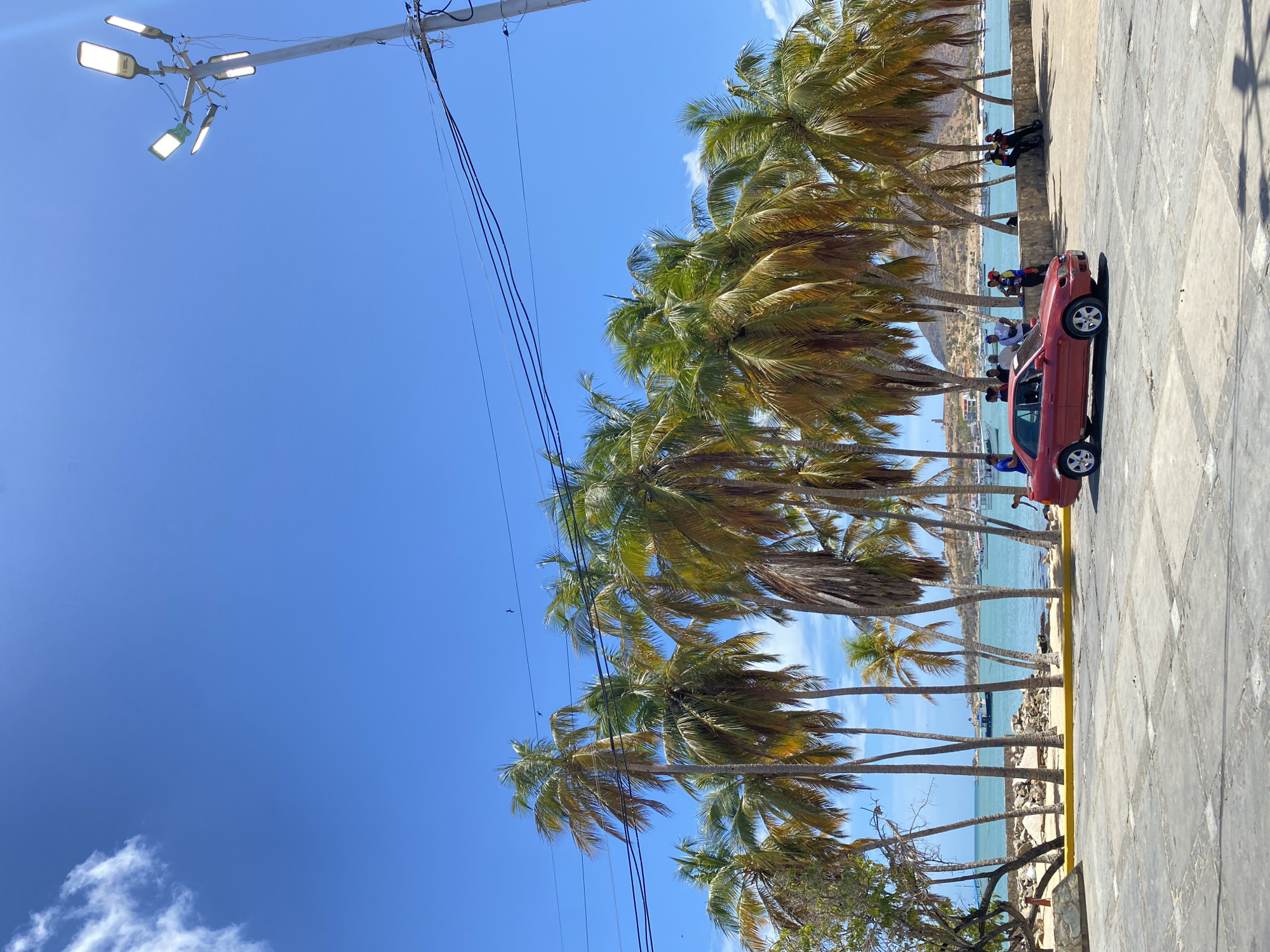 The image shows a street scene in Juan Griego, Venezuela, featuring a row of palm trees along the coast. The sky is clear blue with a few scattered clouds. A red car is parked on the paved area next to the palm trees. Several people are visible near the coast, some sitting on a wall overlooking the ocean. The sea is calm and light blue. In the upper left corner, there is a lamppost with multiple lights. Power lines are visible extending across the sky.