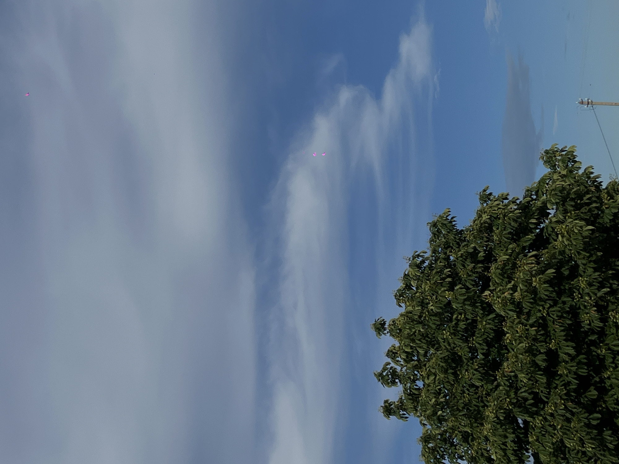 This outdoor daytime image, captured in Novopokrovskaya, Russia, displays a partial view of a large, dense green tree with numerous leaves, occupying the lower left and central portions of the frame. The tree canopy extends upwards, showcasing variegated green foliage. Above and surrounding the tree, the sky is predominantly blue with scattered white and grey cumulus and stratiform clouds. Several small, reflective magenta-pink objects, consistent with balloons, are visible in the upper right quadrant of the sky; two are clustered within a white cloud, and one is positioned higher and to the left against a lighter sky. In the lower right corner, a section of a wooden utility pole with multiple horizontal crossarms and associated electrical wires is partially visible against the clear blue sky. No individuals are present in the scene.