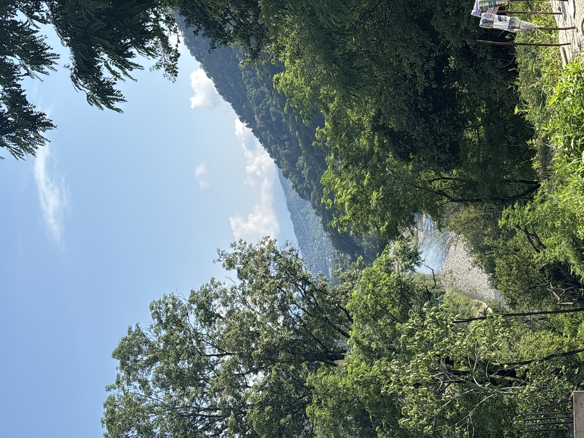 The image depicts a natural landscape with lush green trees in the foreground, obscuring a view of a river with a rocky bed. In the background, a forested mountain slopes upwards under a clear blue sky with scattered white clouds. The scene appears to be in a rural or semi-rural area, possibly on the outskirts of Sochi, Russia, given the mountainous terrain and abundant vegetation. There are no people or specific objects that indicate the exact location or activity within the scene. The overall impression is one of a serene and natural environment.