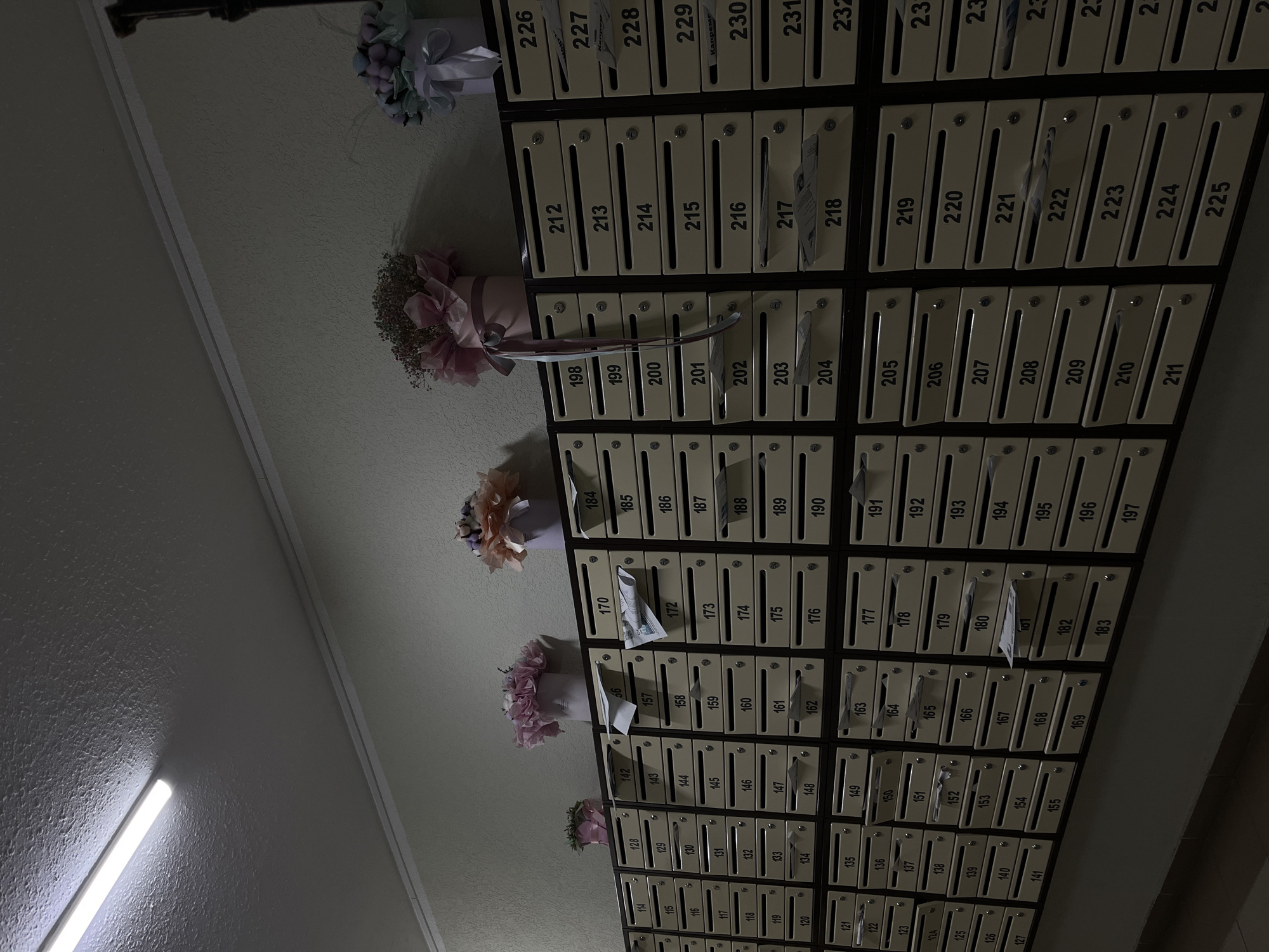 The media file captures an indoor scene dominated by a wall of numerous mailboxes, likely in a residential or office building in Krasnodar, Russia. The mailboxes are uniform in appearance, light-colored (beige or cream) with dark frames, and arranged in a grid pattern. Each mailbox is numbered, indicating individual units, with visible numbers ranging from the low 100s (e.g., 114) up to 232. Several pieces of mail or paper are seen protruding from the slots of various mailboxes, including 156, 171, 180, and 217.
Decorating the wall between sections of mailboxes are several bouquets or floral arrangements, wrapped in decorative paper or fabric in shades of pink, purple, and light blue. The lighting is artificial, provided by a long fluorescent light fixture visible on the left side of the frame, casting some reflections and shadows on the mailboxes. The wall itself has a textured finish. No people or specific activities are visible, but the mailboxes imply mail delivery and collection. Visible text includes the mailbox numbers and "Капреме" (Kapreme) partially visible on mailbox 229.