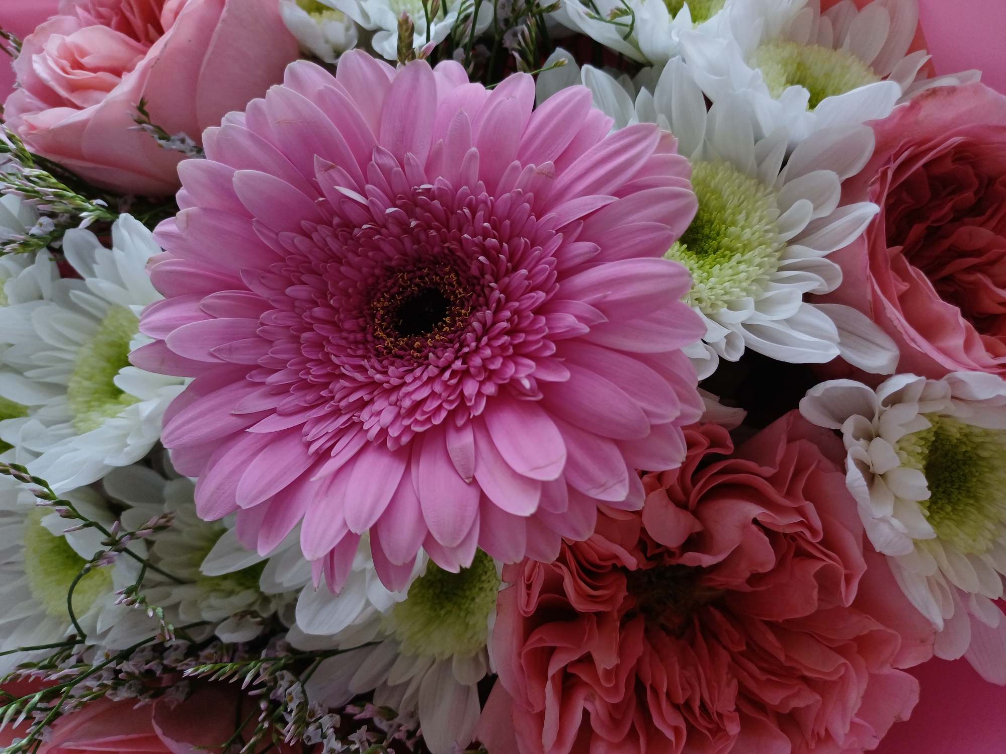 This is a close-up, overhead, studio shot of a bouquet of flowers. The bouquet is composed of several pink gerbera daisies, white chrysanthemums with light green centers, and several pale pink roses. The flowers are tightly arranged, with some wispy green filler stems visible. The lighting is soft and even, and the background is a solid pink color, suggesting a controlled environment rather than an outdoor scene in a specific city location. There are no people or animals in the image, and no specific actions are depicted beyond the static arrangement of the flowers.