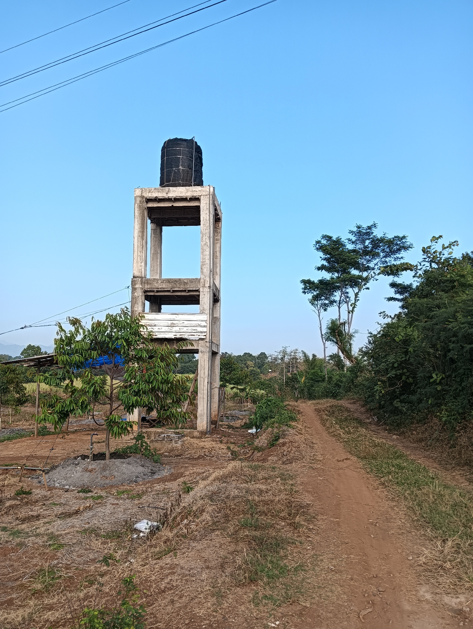 This is an outdoor, eye-level, full shot of a water tower in Cluwak, Indonesia. The water tower is made of concrete and has a black water tank on top. It is surrounded by vegetation, including trees and bushes. A dirt path leads away from the water tower into the distance. The sky is clear and blue. There are no people or animals visible in the image. The scene appears to be a rural or semi-rural area.