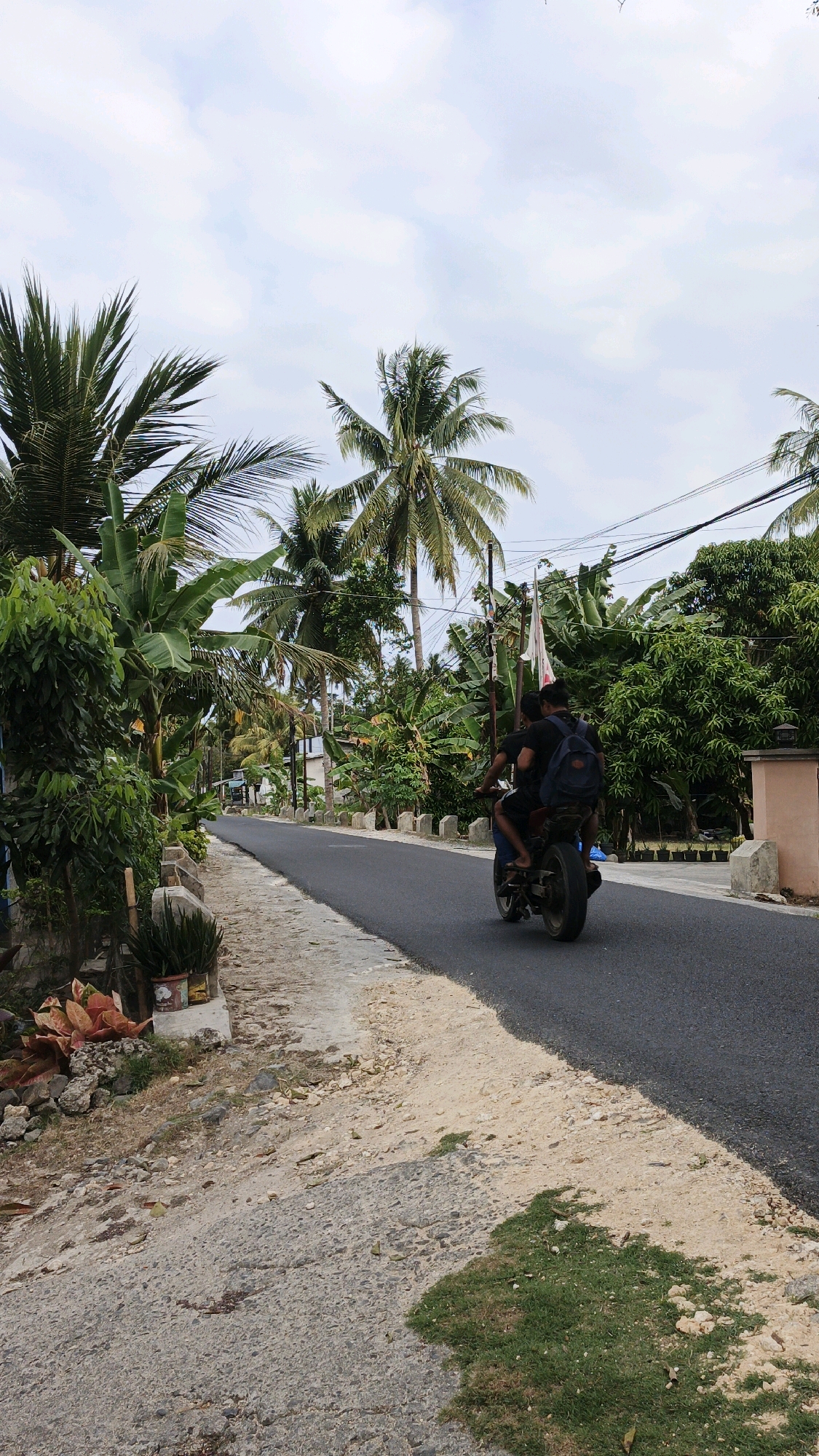 The image shows a scene on a paved road in Cintaratu, Indonesia, lined with lush vegetation including palm trees and banana plants. Two individuals are riding a motorcycle on the right side of the road, heading away from the viewer. The person in the back is wearing a dark backpack. The road is flanked by a dusty, gravelly shoulder on the left and a more established concrete path with scattered stones and vegetation on the right. In the background, houses and utility poles are visible amidst the dense greenery. The sky is overcast with scattered clouds.