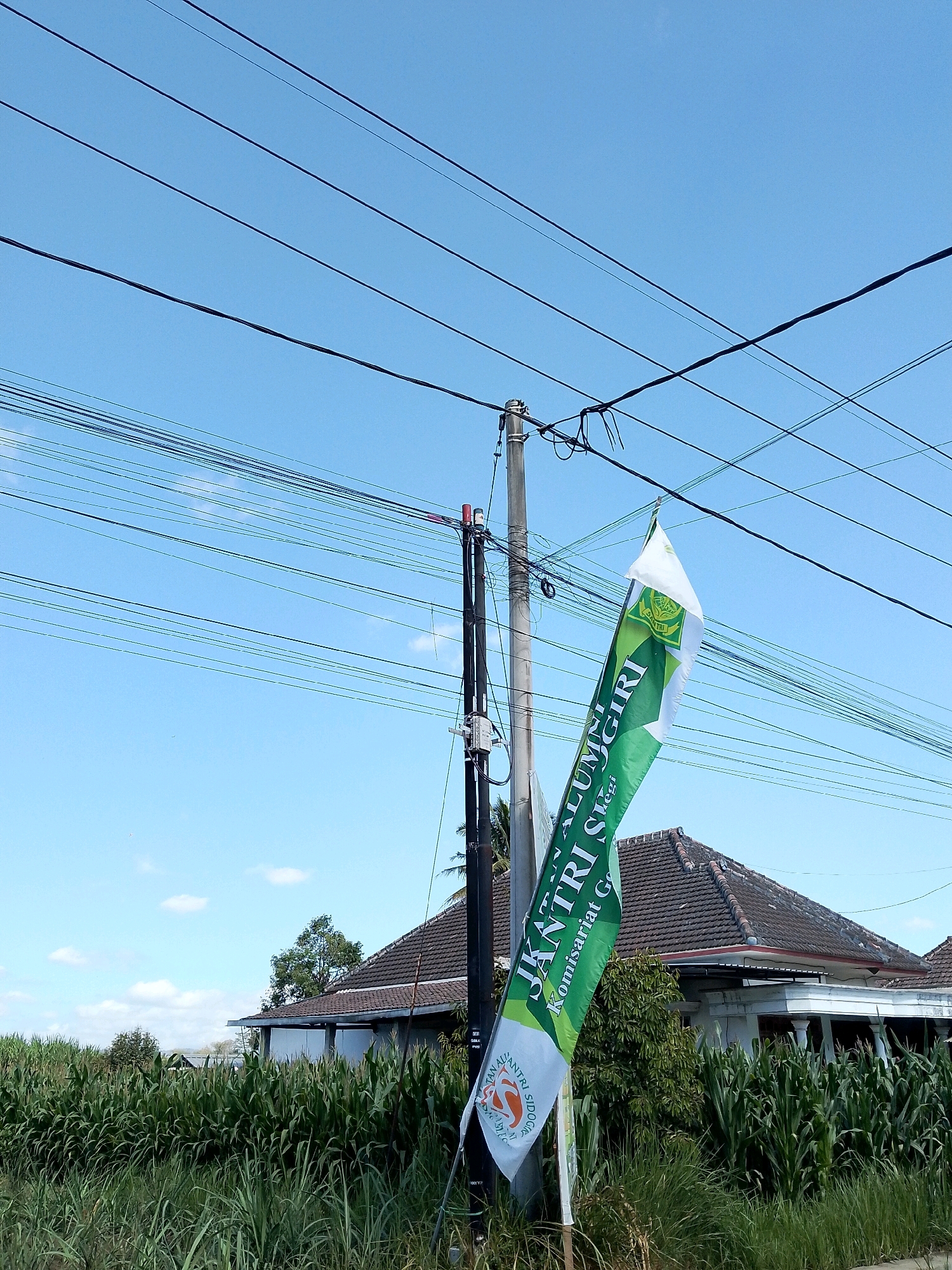 The image depicts an outdoor scene with a clear blue sky overhead. A cluster of telephone or power lines crisscrosses the sky, supported by a concrete pole visible on the left. To the right of the pole, a white and green banner is displayed, angled upwards and partially obscured by the lines. The banner features text in a darker green color and a circular emblem with orange and white accents.
In the background, a house with a tiled roof is visible, partially obscured by lush green corn stalks and other vegetation. The cornfield extends across the foreground, with taller grass and weeds in front of it. The overall impression is a rural or suburban setting in Banjarejo, Indonesia. No people or animals are present in the frame. The lighting suggests it is daytime, likely with ample sunlight.