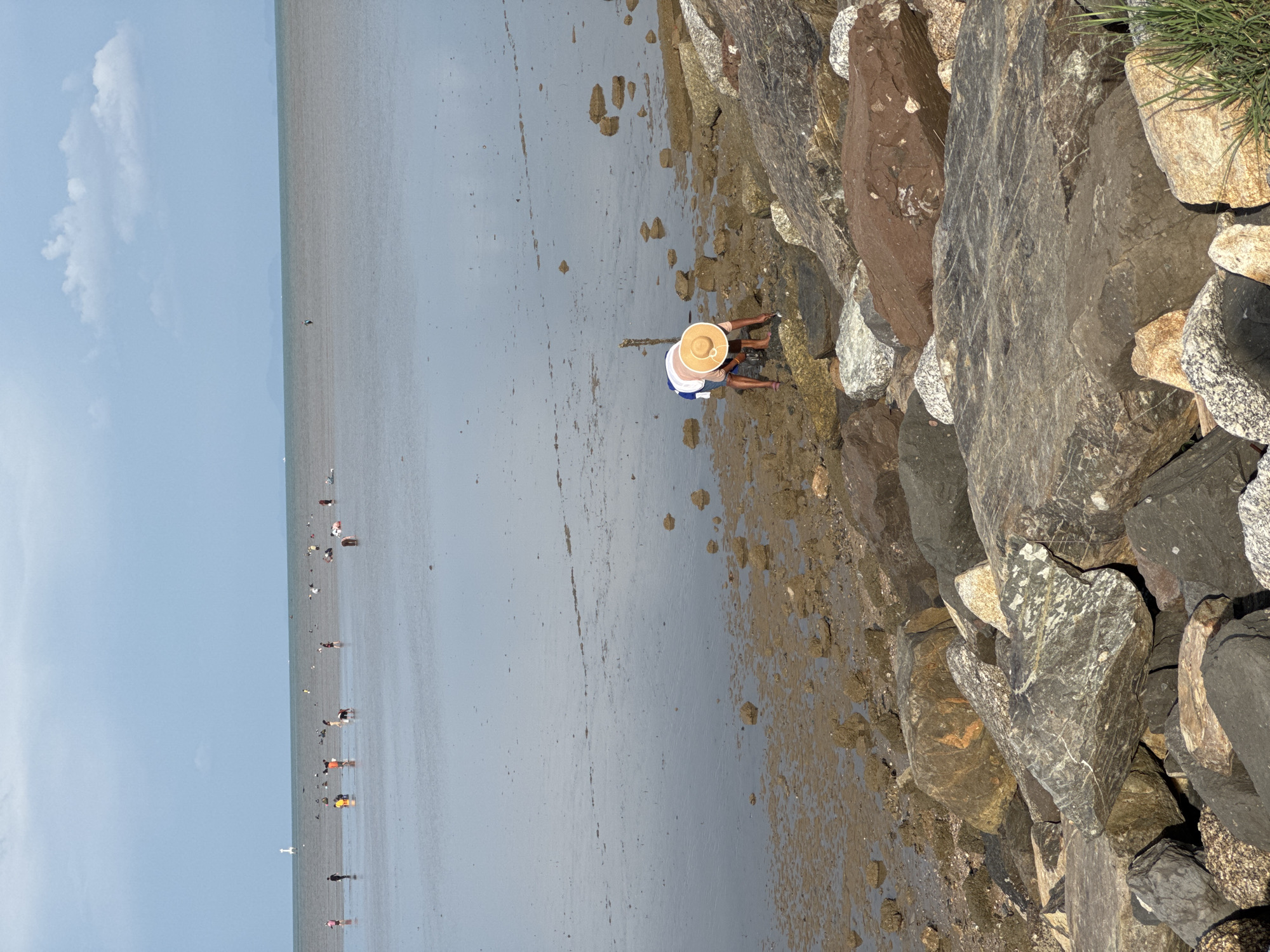 The image shows a low tide scene at a beach, likely in Phuket City Municipality, Thailand, given the presence of the lighthouse in the distance which is a known landmark there. In the foreground, a person wearing a wide-brimmed straw hat and a white top with blue shorts is bent over, seemingly searching for something in the muddy, rocky shoreline. The tide is out, revealing a large expanse of wet sand and shallow water. Further out in the water, numerous other people are scattered across the beach and in the shallow water, also appearing to be engaged in activities such as shell collecting or wading. The sea stretches to the horizon under a cloudy sky, with a lighthouse visible in the far distance on the left. The environment is characterized by a rocky embankment in the foreground, transitioning to a sandy and muddy intertidal zone, and finally the calm sea.