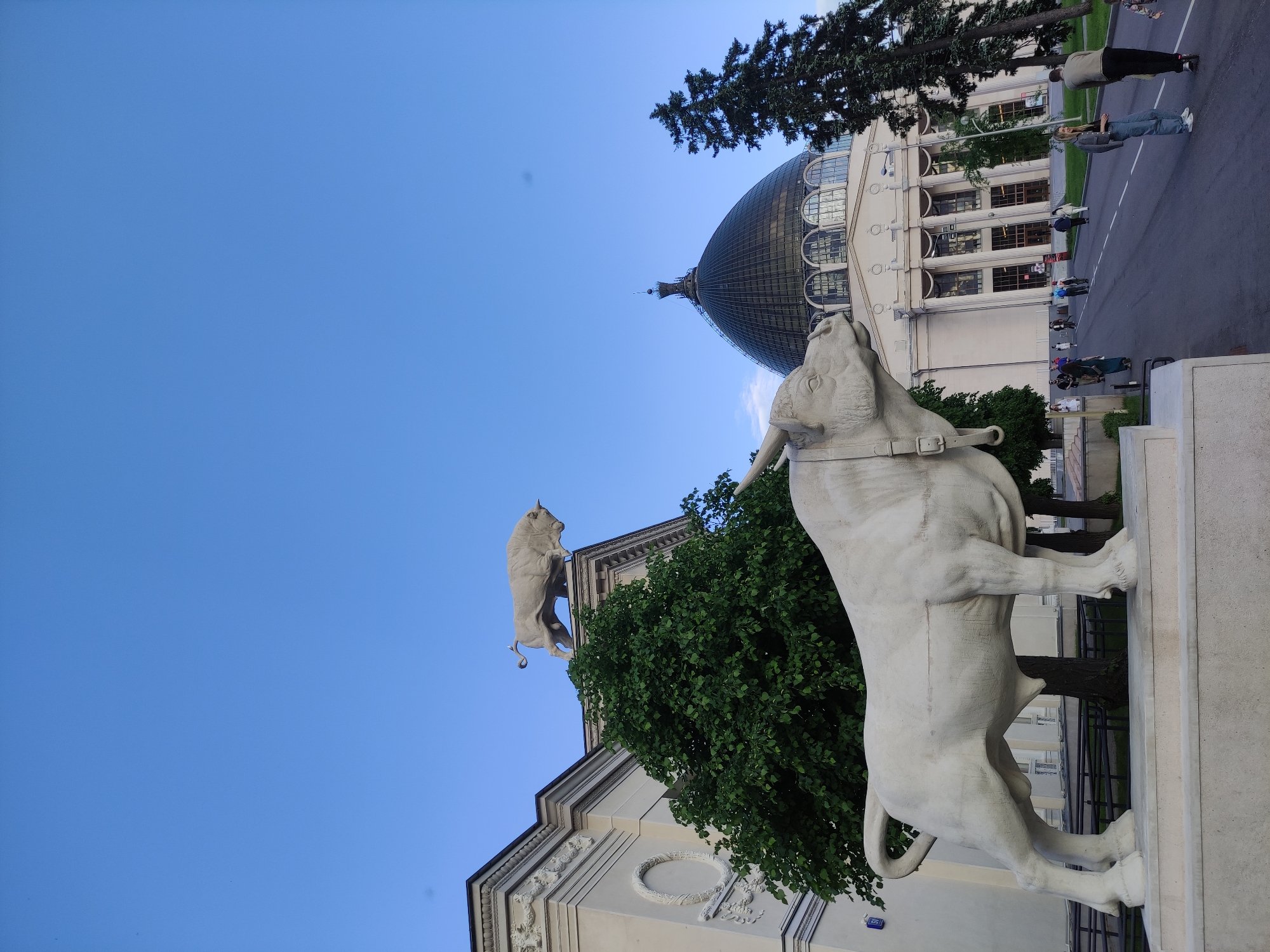 The image captures a scene in Moscow, Russia, featuring a white sculpture of a bull in the foreground. The sculpture is detailed with a harness around its neck. In the background, a building with a distinct glass dome is visible, along with a smaller bull sculpture atop another structure. People are seen walking on a paved area to the right of the frame, suggesting a public space or street. The sky is clear and blue. The overall environment is urban and appears to be a sunny day.