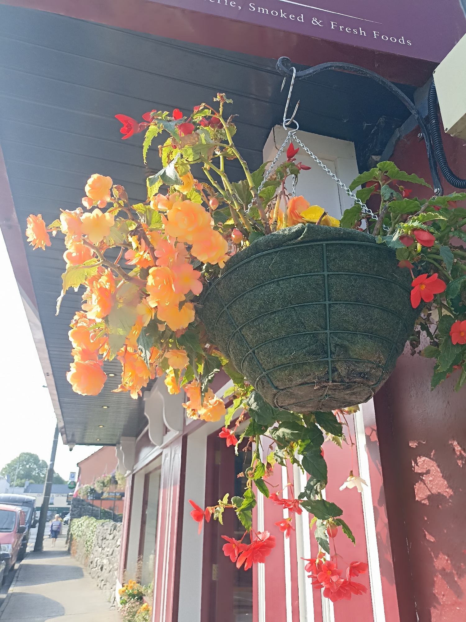 A hanging basket filled with vibrant orange and red begonias is suspended from a metal bracket attached to the exterior of a building in Oughterard, Ireland. The building's facade is painted a deep red, with white trim around the windows. Sunlight casts shadows on the wall. In the background, a stone wall lines a sidewalk, and a red vehicle is parked on the street. A person walks away from the camera down the sidewalk. The sky is bright and appears to be a clear day.