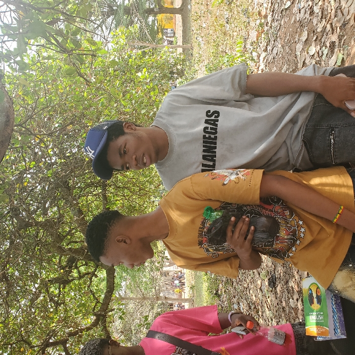Memory