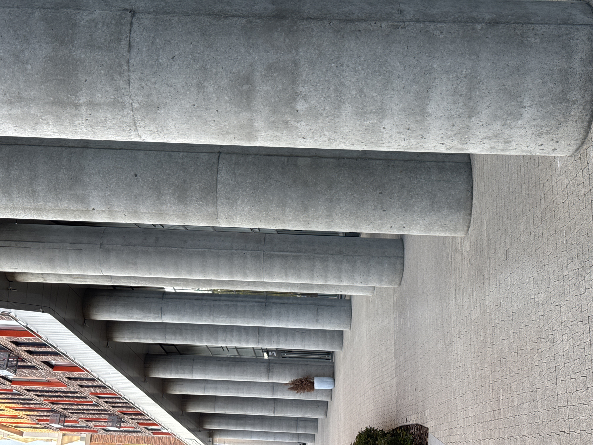 The image displays a modern urban architectural scene, likely in Izhevsk, Russia, characterized by a series of prominent, cylindrical concrete pillars. These robust columns support an elevated structure, possibly a bridge, an elevated roadway, or the ground floor of a large building. The pillars recede into the distance, creating a strong sense of perspective and repetition.
On the left side of the frame, beneath the overhead structure, a portion of a contemporary building facade is visible. It features a distinct pattern of rectangular elements, some appearing in red-orange hues and others darker, suggesting windows or decorative panels of a commercial or institutional building.
The ground beneath the pillars is a meticulously paved surface, composed of numerous small, interlocking grey tiles or pavers that create a consistent, textured pattern across the visible area. In the mid-ground, nestled between the pillars, a white planter holds a small, dried-up plant. A patch of green foliage is partially visible in the bottom right corner.
The scene is devoid of people and activity, presenting a static, architectural study. The lighting is bright and even, indicating daytime conditions, possibly under an overcast sky or with the sun high overhead, casting subtle shadows. There is no visible text in the image. The overall impression is one of modern, functional concrete design within an urban landscape.