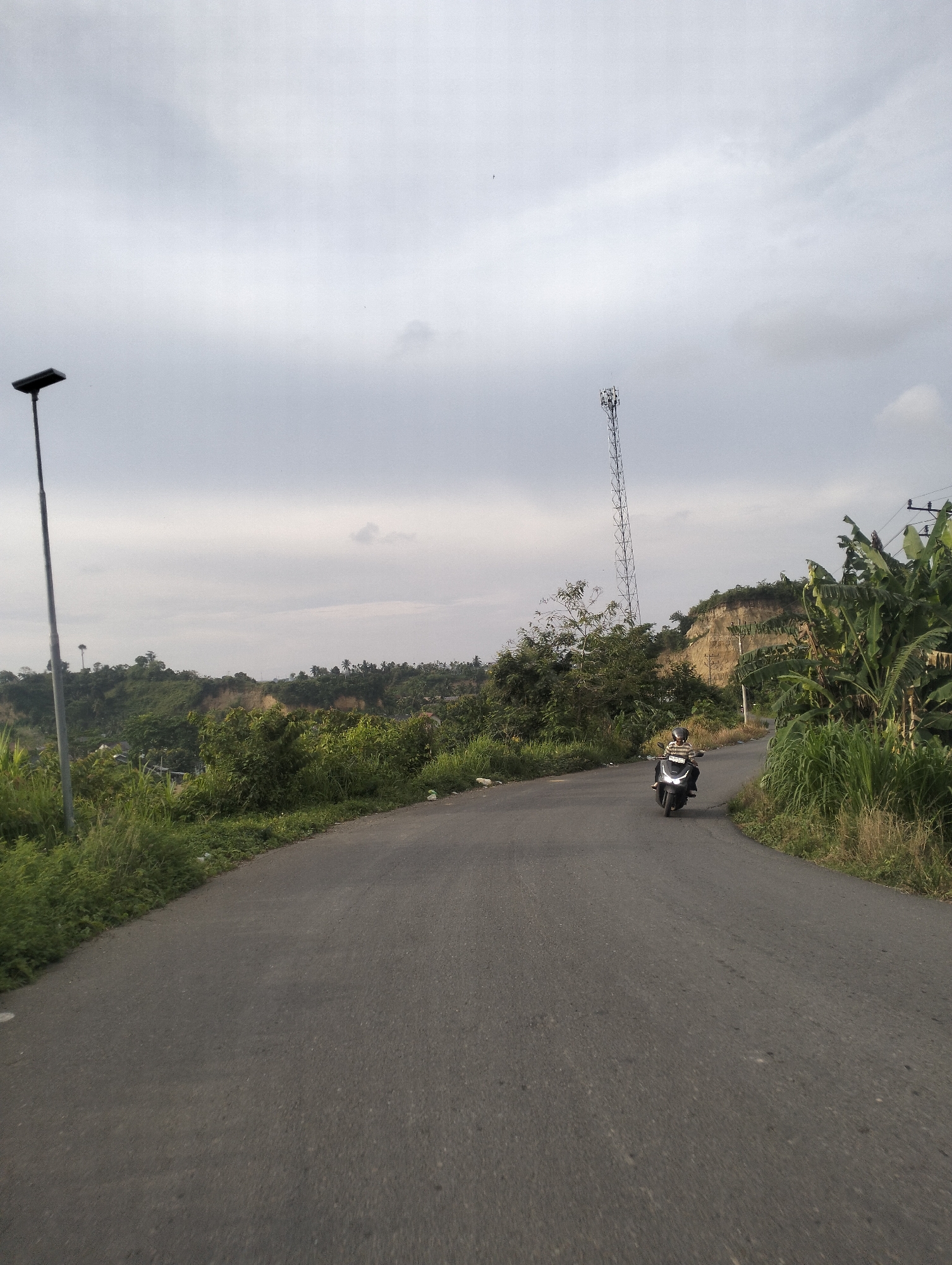 A motorcycle with a rider is on a paved road winding through a hilly landscape. The road curves to the right in the foreground, leading towards a distant scene of rolling hills covered in lush greenery. A tall, metallic cell tower stands prominently on one of the hills in the midground. On the right side of the road, tall banana trees and other dense vegetation are visible. On the left, a tall lamppost stands near the edge of the road, and more greenery lines the roadside. The sky is overcast with soft, grey clouds, suggesting it might be a cloudy day or late afternoon. The overall atmosphere is peaceful and serene, capturing a moment of travel through a rural, tropical environment. There is no visible text in the image.