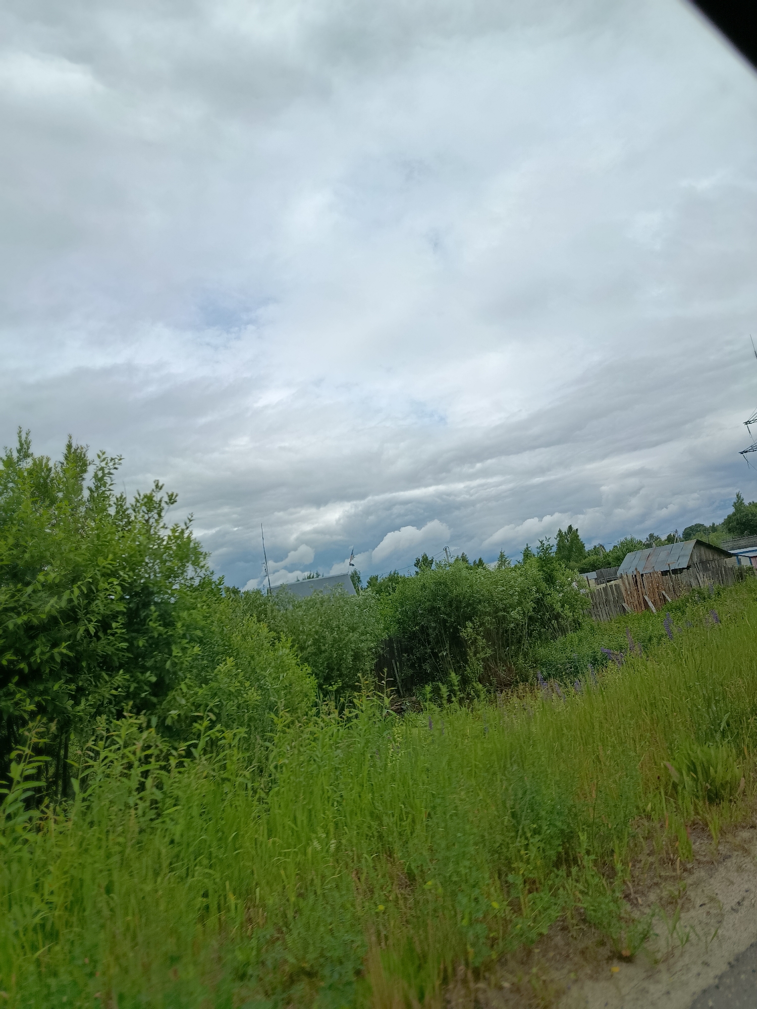 The image depicts a rural landscape under a cloudy sky, likely in the village of Savinskaya, Russia. In the foreground, there is a dense area of green grass and vegetation, with some taller plants and bushes. In the middle ground, a weathered wooden fence with some missing planks separates a patch of purple flowers and more green foliage from a rustic wooden structure with a corrugated metal roof. Beyond this structure, more trees and vegetation are visible, and in the far distance, the sky is filled with a textured pattern of gray and white clouds. There are no people or animals visible in the scene. The overall impression is one of a quiet, possibly remote, countryside setting.
