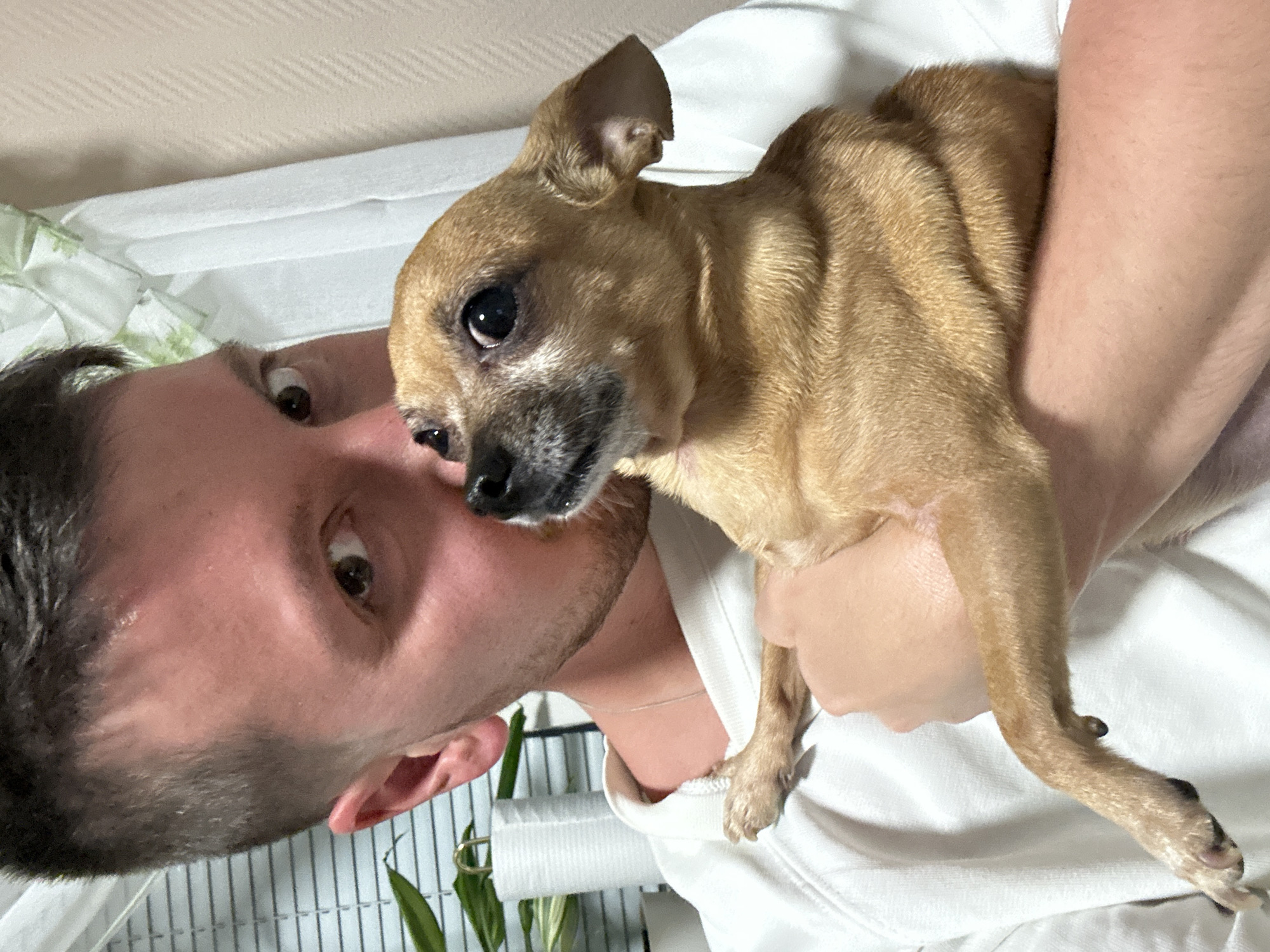 A man is lying down, facing the camera, holding a tan Chihuahua dog in his arms. The dog is looking away from the camera. The man has short, dark hair, light skin, and stubble. Both are wearing white clothing. A houseplant and a white wall are visible in the background. The location is not determinable from the image.