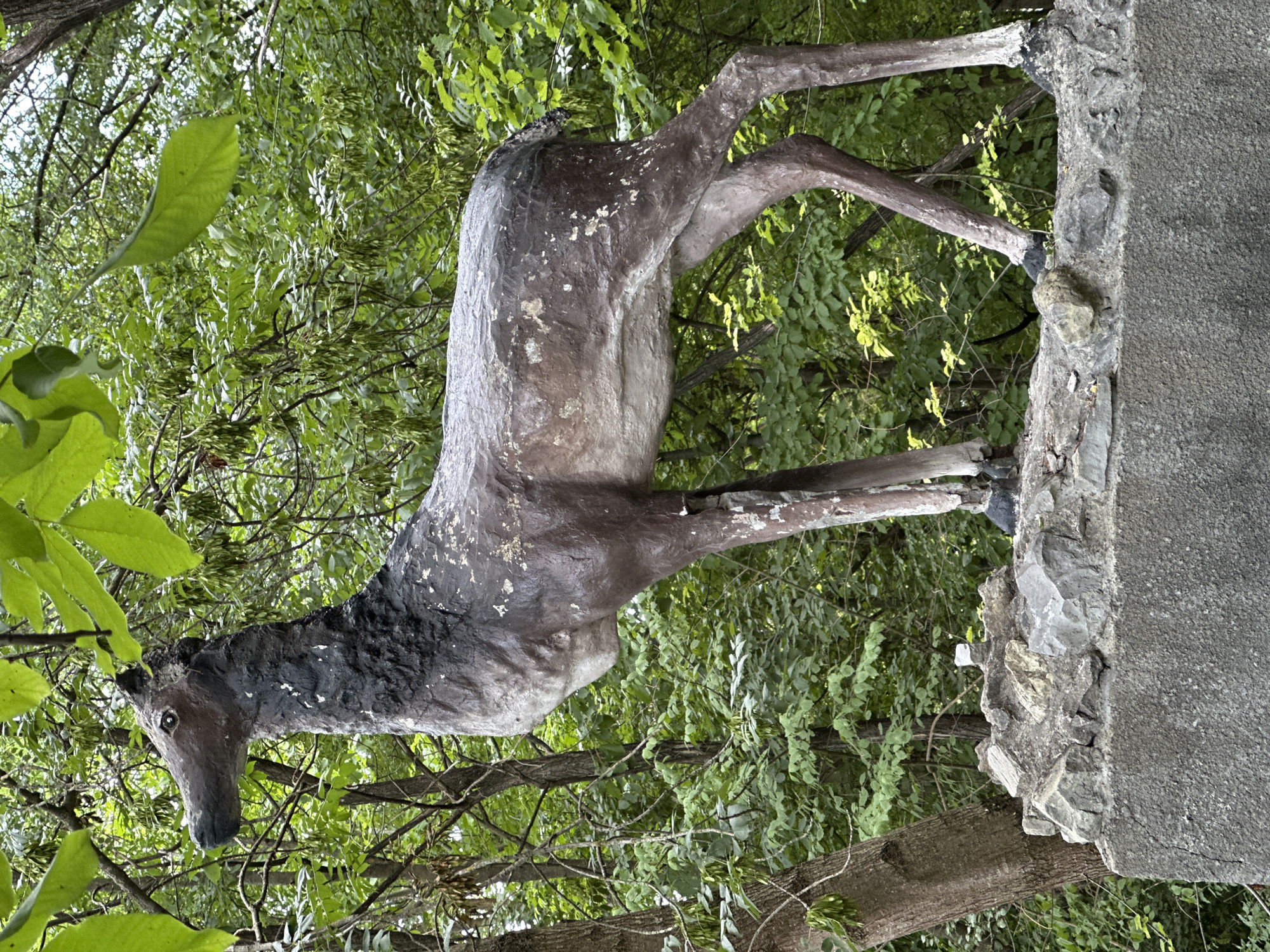The image shows a weathered statue of a deer standing on a concrete structure with rocks on top. The statue is brown and white with dark patches on its neck and back, appearing to be made of concrete or a similar material. It is positioned in an outdoor environment with lush green trees and foliage in the background. The concrete structure extends to the bottom of the frame, with a textured surface. The statue itself is detailed, depicting the deer in a standing pose with its head turned to the left. The environment suggests a park or a natural setting within the city of Makiv, Ukraine.