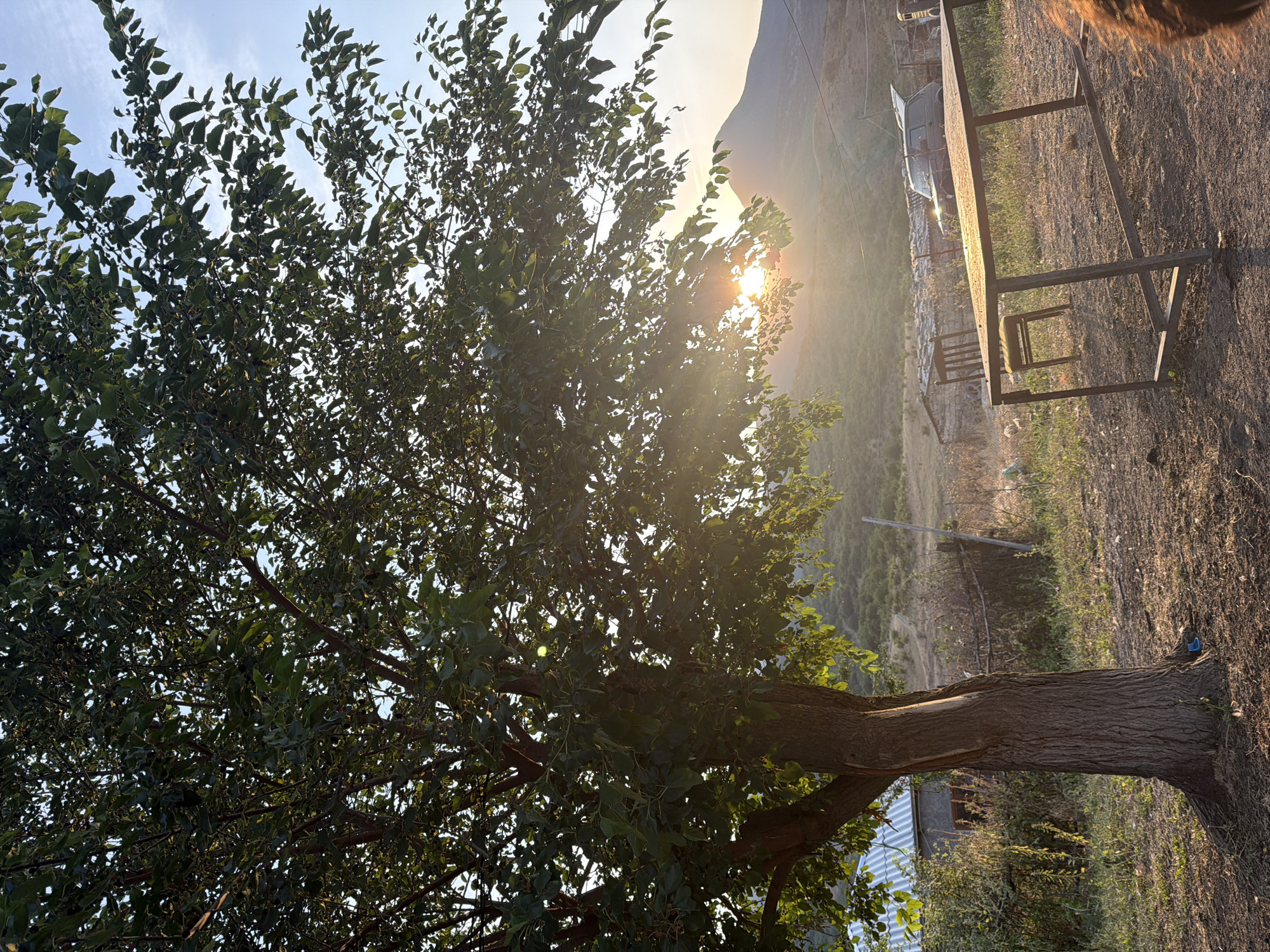 The image captures an outdoor scene bathed in the warm glow of sunset. In the foreground, a large tree with dense green foliage dominates the left side of the frame. Its trunk is thick and gnarled, showing signs of age. To the right of the tree, a simple metal table with a matching chair is set up on a dirt and grass-covered ground. In the mid-ground, a weathered fence runs horizontally, separating the immediate area from what appears to be a rural landscape. Behind the fence, there are a few dilapidated structures, one with a corrugated metal roof. A dark-colored car with its trunk open is parked in front of these structures. The background features rolling hills and mountains under a hazy, pale blue sky, illuminated by the setting sun, which is partially obscured by the tree's branches and casts a bright flare. The environment suggests a remote, possibly abandoned, or less developed area, consistent with a rural setting outside of a major urban center. The location is identified as Köhnə Quşçu, Azerbaijan, a village known for its rural character. There are no visible people in the image, but the presence of furniture and a vehicle implies human activity or recent occupation.
