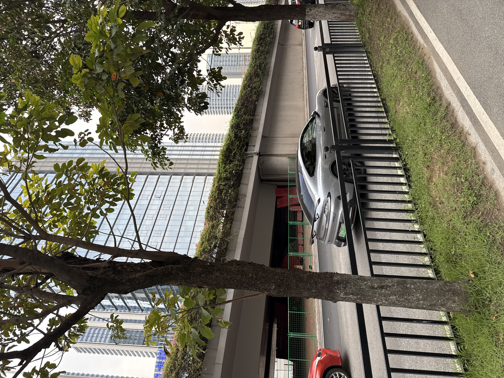 The image depicts a street scene in Tianhe District, China, with a focus on traffic and urban infrastructure. In the foreground, a grey sports car with a spoiler is driving on a paved road, adjacent to a black metal fence and a patch of grass. To the left, a red car is partially visible. Behind the road, an elevated structure, likely an overpass or elevated highway, is covered with lush green vegetation and flowering plants. Tall modern buildings with glass facades are visible in the background, suggesting a bustling urban environment. The scene appears to be captured during daylight hours, with diffused lighting. There are no people clearly visible in the image.