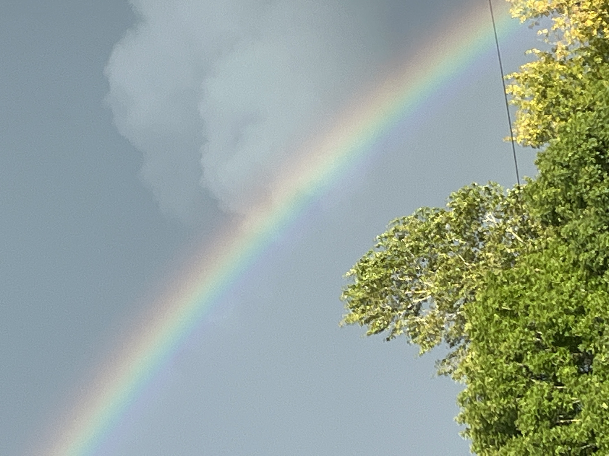 A rainbow arcs across a grey, cloudy sky, with the bottom portion of the image showing the tops of lush green trees. The scene appears to be outdoors, likely in a suburban or natural setting, possibly within the city of Kohtla-Järve linn, Estonia, given the potential for such atmospheric phenomena. There are no people or specific man-made structures prominently visible beyond the implied presence of trees.