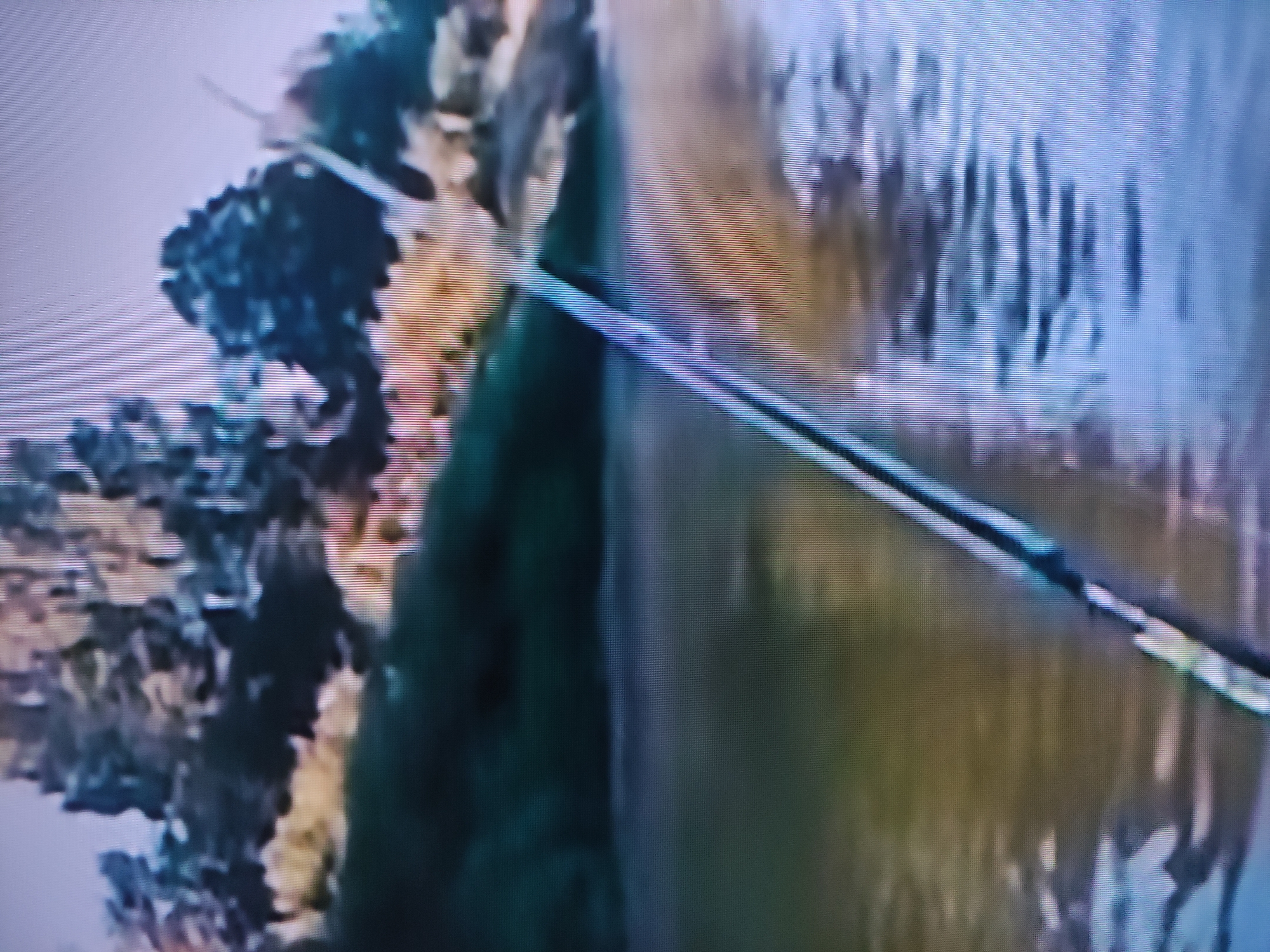 The image depicts a scene involving a body of water, possibly the Irtysh River in Pavlodar, Kazakhstan. On the left, there is vegetation, and a thin cable or wire stretches across the image. The water shows blurred reflections.