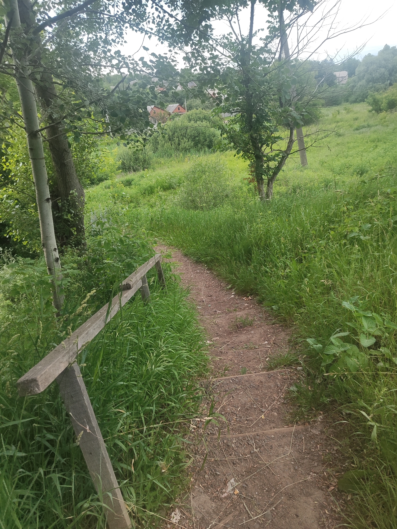 A dirt path with wooden steps winds through a lush green meadow, bordered by a simple wooden railing on the left. Tall trees frame the path, with one particularly tall, slender tree with light-colored bark prominent on the left. In the background, scattered houses with red roofs are visible amidst rolling green hills and more trees under a cloudy sky. The scene suggests a rural or semi-rural setting, possibly a park or nature trail. There are no people visible in the image.