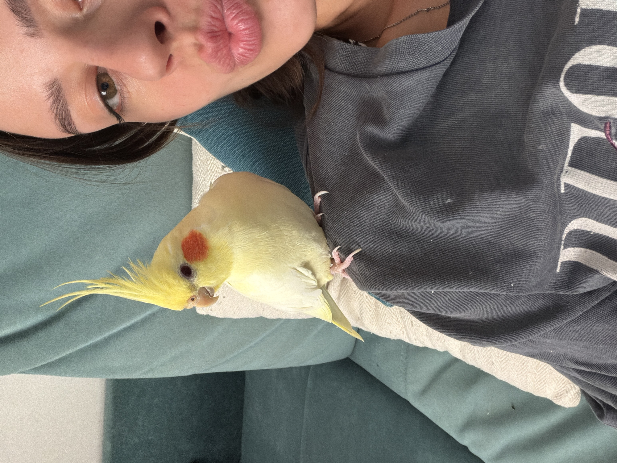 A young woman with dark hair and light brown eyes, her lips pursed in a kiss, is positioned in the foreground on the right side of the image. She is wearing a dark grey sweatshirt. On her left shoulder, a pale yellow cockatiel with a prominent crest and orange cheek patches is perched. The bird is facing left, looking away from the camera. Behind them, a teal-colored sofa is visible, with a cream-colored textured cushion between the woman and the sofa. The image appears to be taken indoors, in a home environment. There is no visible indication of the location being Krasnoyarsk, Russia.