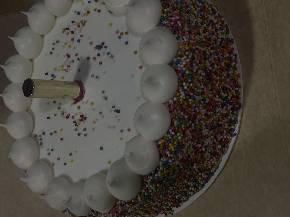 A top-down view shows a round cake with white frosting, adorned with colorful sprinkles scattered across its surface. A ring of white meringue kisses lines the cake's edge. Colorful sprinkles cover the remaining side of the cake. A golden candle is inserted near the center of the cake, completing the celebratory presentation.
