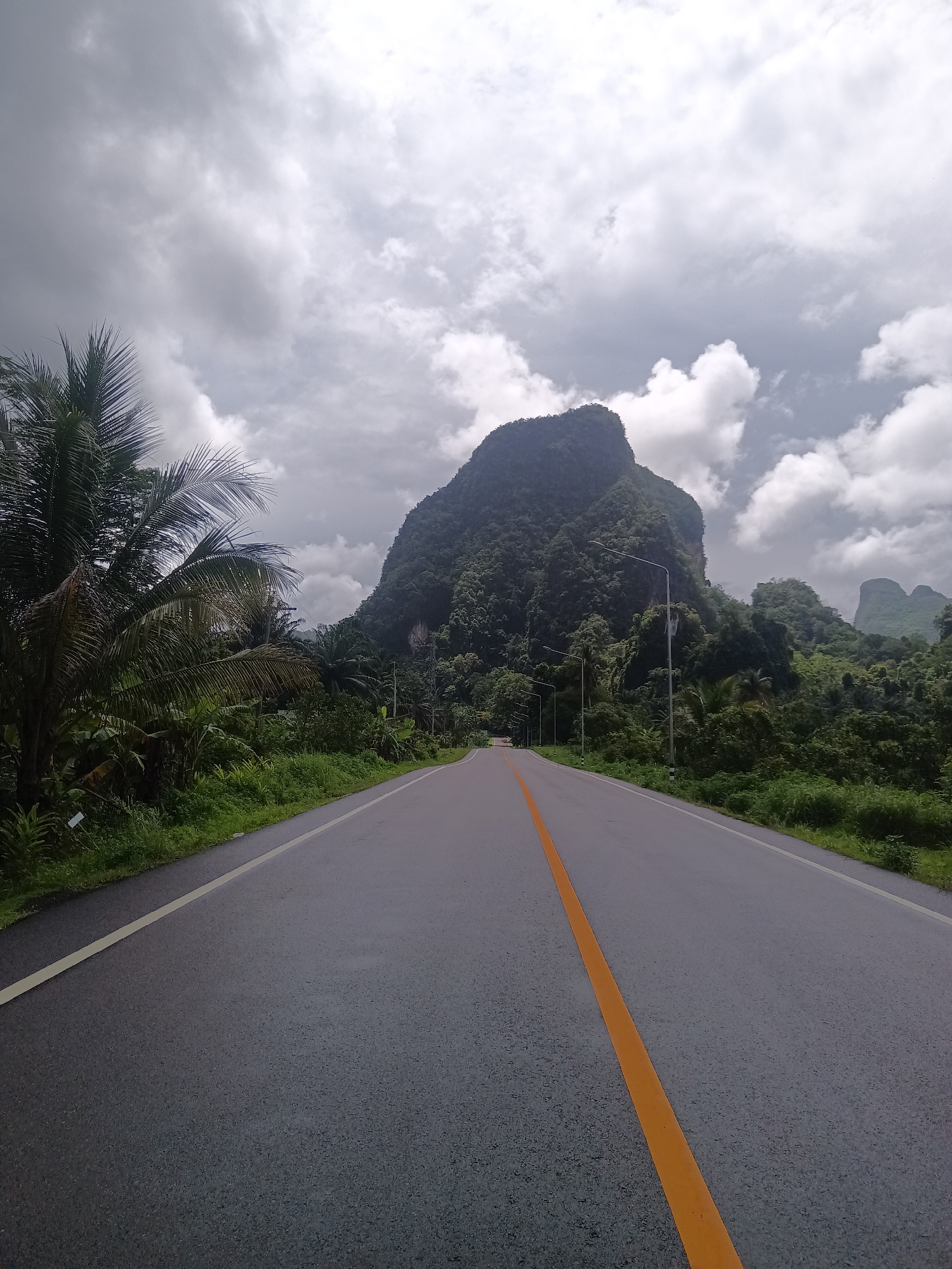 A straight, gray asphalt road with a solid yellow center line extends into the distance, flanked by lush green vegetation on both sides. A prominent, steep, tree-covered mountain rises in the background, partially obscured by a cloudy sky. The location appears to be rural, with streetlights visible along the road.