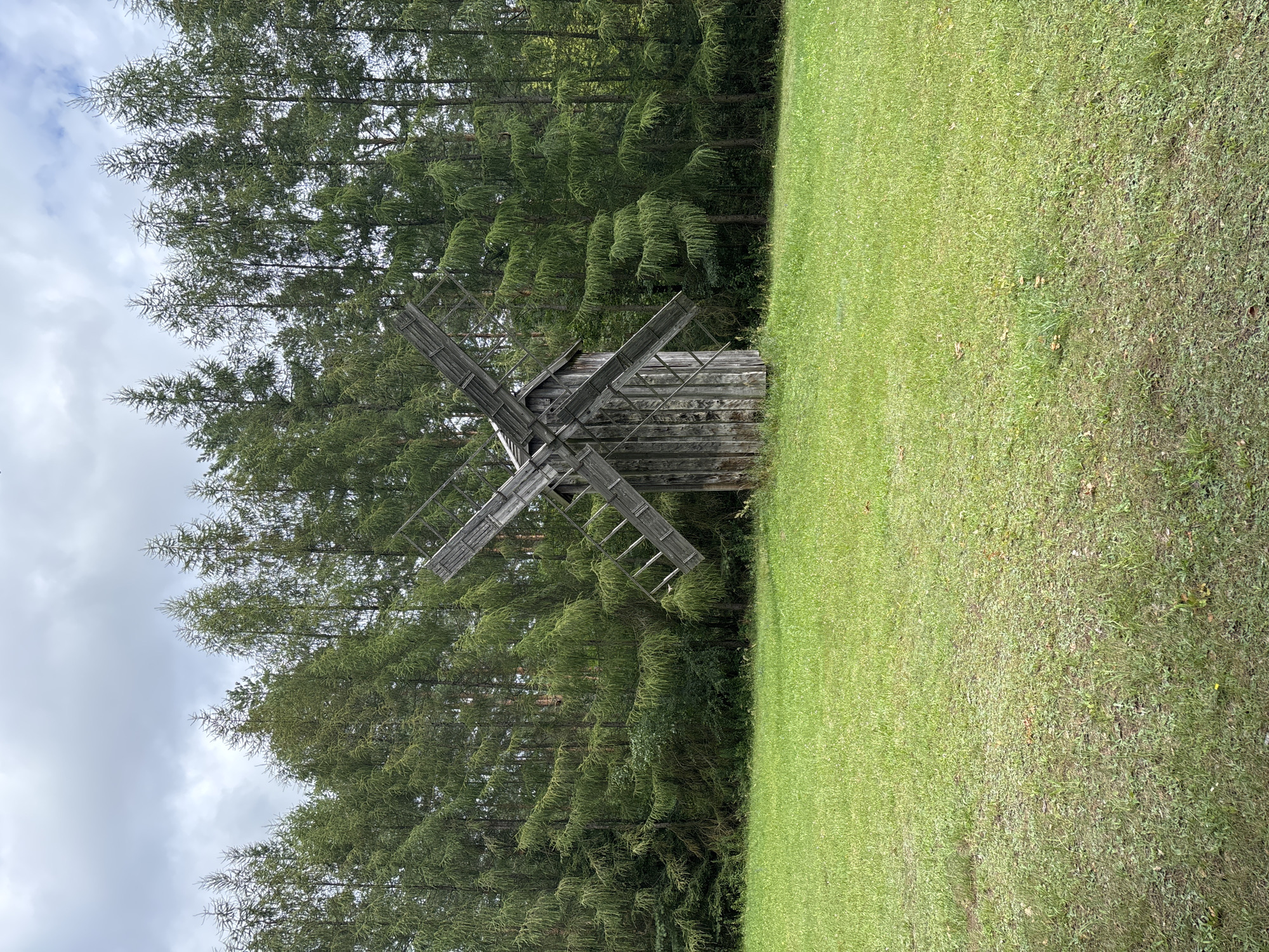 An old wooden windmill stands in a grassy field, facing the viewer. It has four large sails, constructed from wooden planks, positioned in an 'X' shape. The windmill itself is a rustic, weathered structure made of vertical wooden planks. Behind the windmill, a dense forest of evergreen trees, likely conifers, forms a backdrop. The sky above is overcast with grey clouds. The field in front of the windmill is covered in green grass, with some patches of bare earth and scattered fallen leaves. The overall scene evokes a rural, historical setting. The location is identified as Sielachowskie, Poland. There are no people visible in the image.