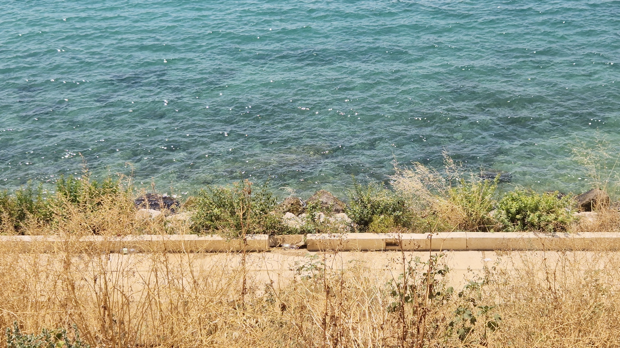 The image depicts a coastal scene with clear, turquoise water lapping at a rocky shore. In the foreground, dry, golden grasses and some green shrubbery grow along a low, concrete barrier. Behind the barrier, the transition to the rocky shoreline is visible, with more greenery interspersed among the rocks. The water is calm with gentle ripples and sunlight glinting off its surface, revealing the shallow seabed in places. The scene appears to be a naturalistic edge of a city, possibly a park or promenade, where vegetation meets the sea. This view is consistent with the coastal areas of Taranto, Italy, known for its clear waters and Mediterranean vegetation.