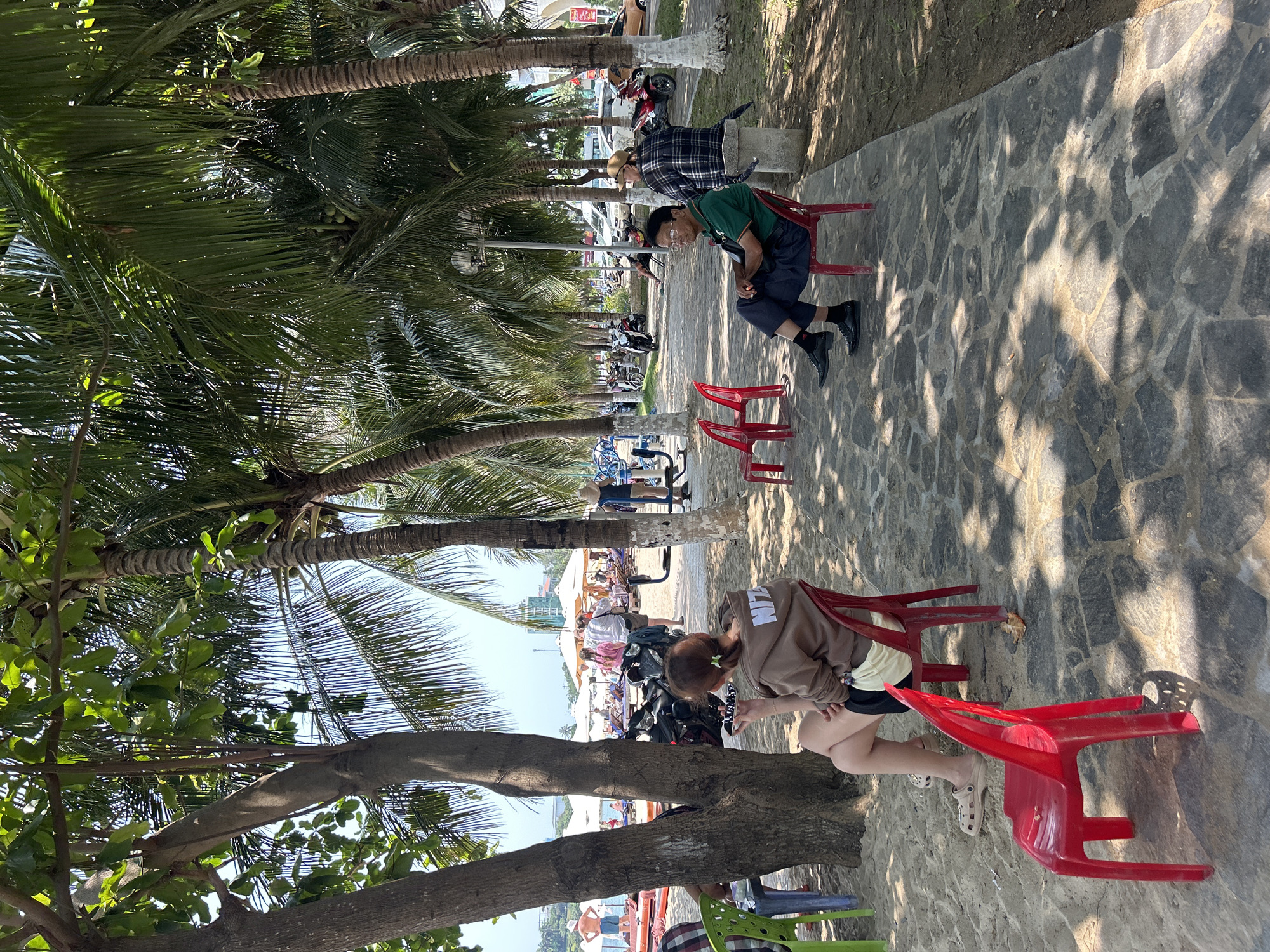 The image depicts a park-like setting with a tree-lined promenade and partial view of the beach in Bắc Nha Trang, Vietnam. Two separate pairs of people are sitting on red plastic chairs. The first pair, an older man in a green shirt and a younger person wearing a hat and a plaid shirt, sits on a stone path. Further down the path towards the beach, a woman in a brown sweatshirt and another individual are also sitting on red chairs, partially obscured by a tree trunk. Several parked motorbikes and pedestrians can be seen in the background. Palm trees and other foliage create shade along the promenade.