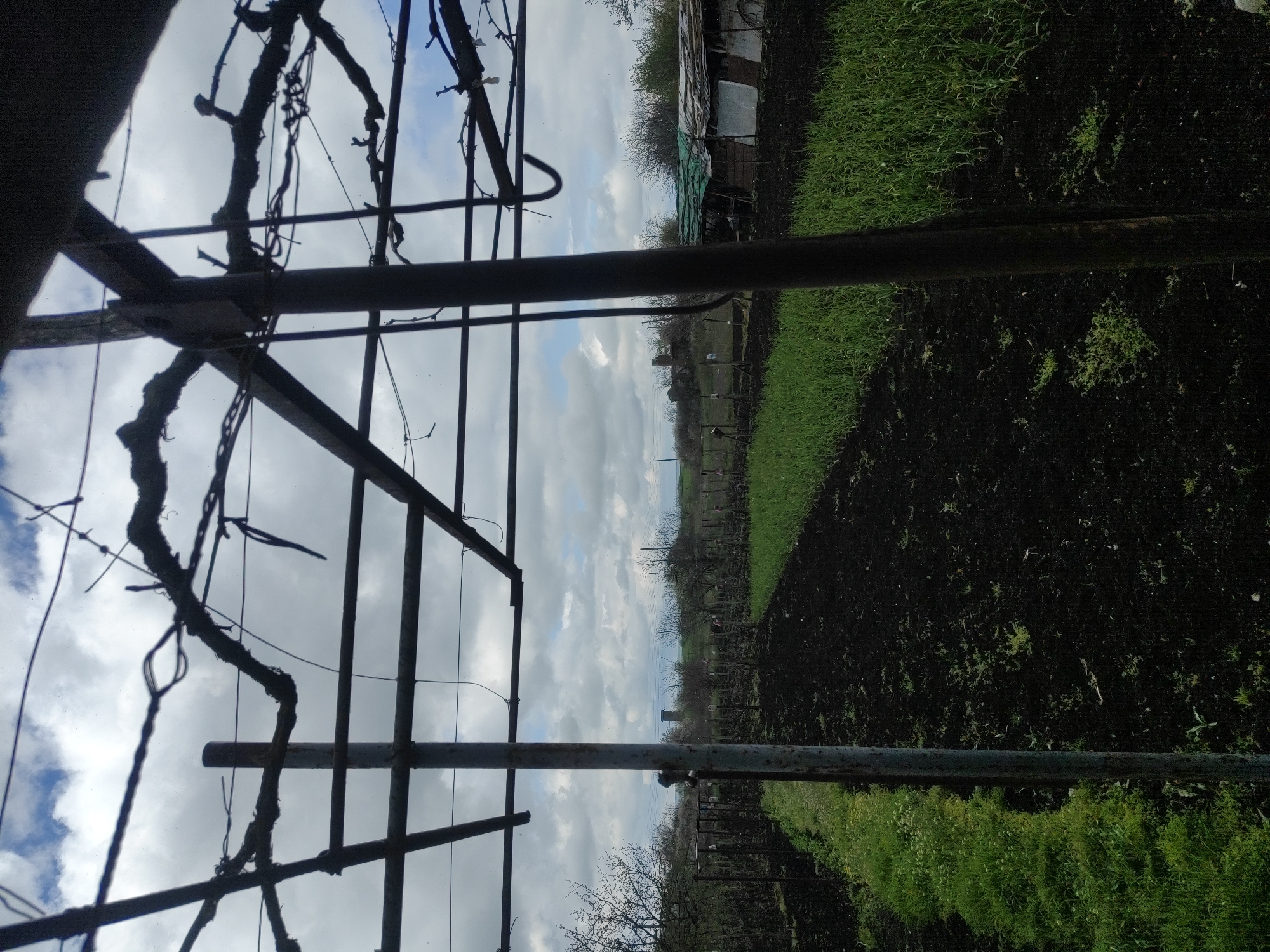 The image depicts a view from inside a structure, possibly a greenhouse or pergola, in an outdoor setting. The structure is made of metal and has bare vines trained on it. Beyond the structure, there is a field of cultivated land, with some areas showing freshly tilled soil and other areas covered in green growth. Further in the distance, there are trees, shrubs, and a small building or shed. The sky is visible above, with a mix of blue sky and white clouds. It is not possible to confirm a location in the city of Krushovo, Bulgaria, based solely on the image. There are no people visible in the image.