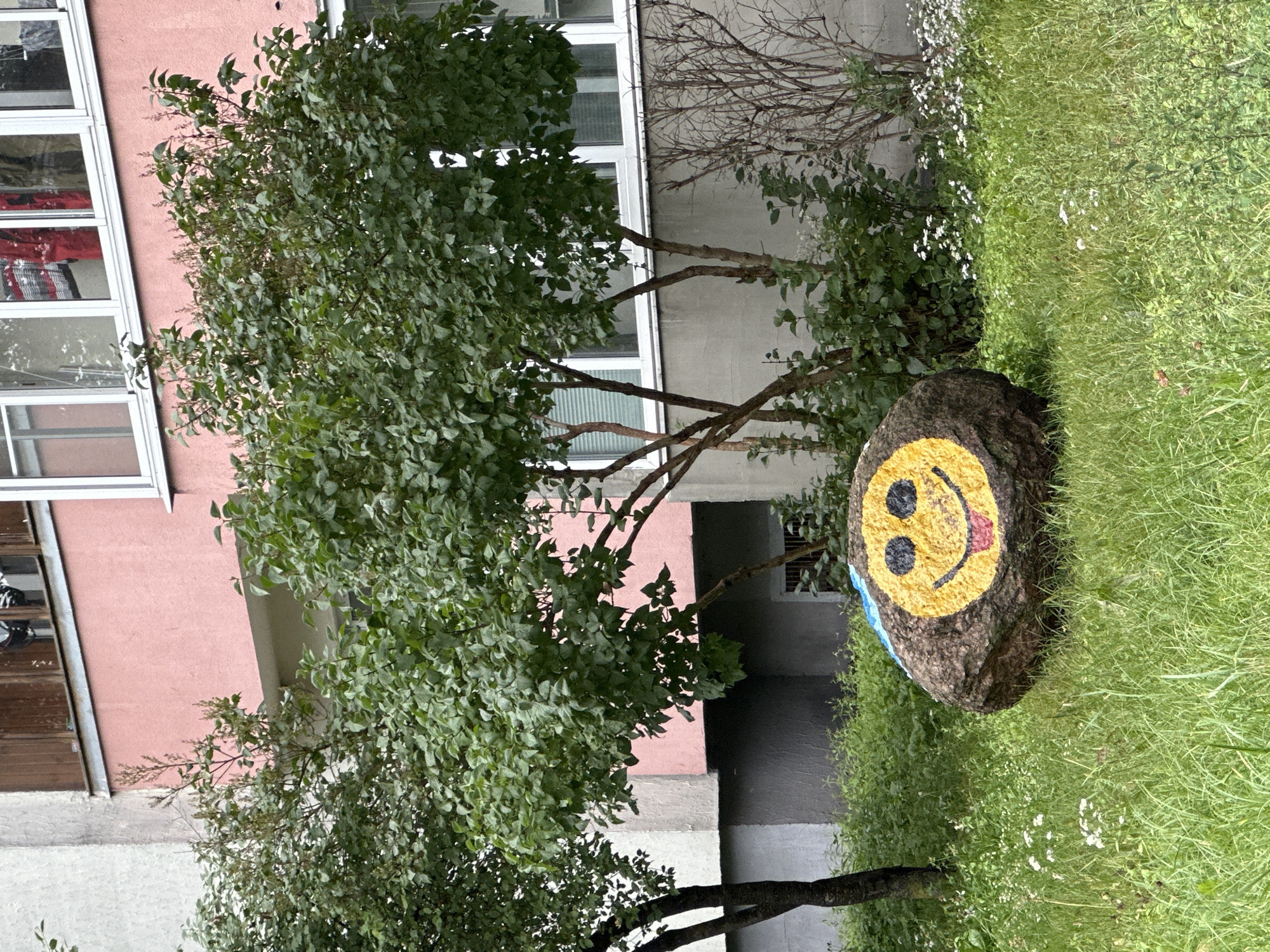 A large, round boulder painted with a yellow smiley face is situated in a grassy area in front of a building with a pink facade. The smiley face has black eyes and a red tongue sticking out. Blue paint is visible on the upper left portion of the boulder. Lush green trees and bushes surround the boulder. In the background, a multi-story building with windows and a pink-colored section is visible. The scene appears to be outdoors in a residential area in the city of Minsk, Belarus.