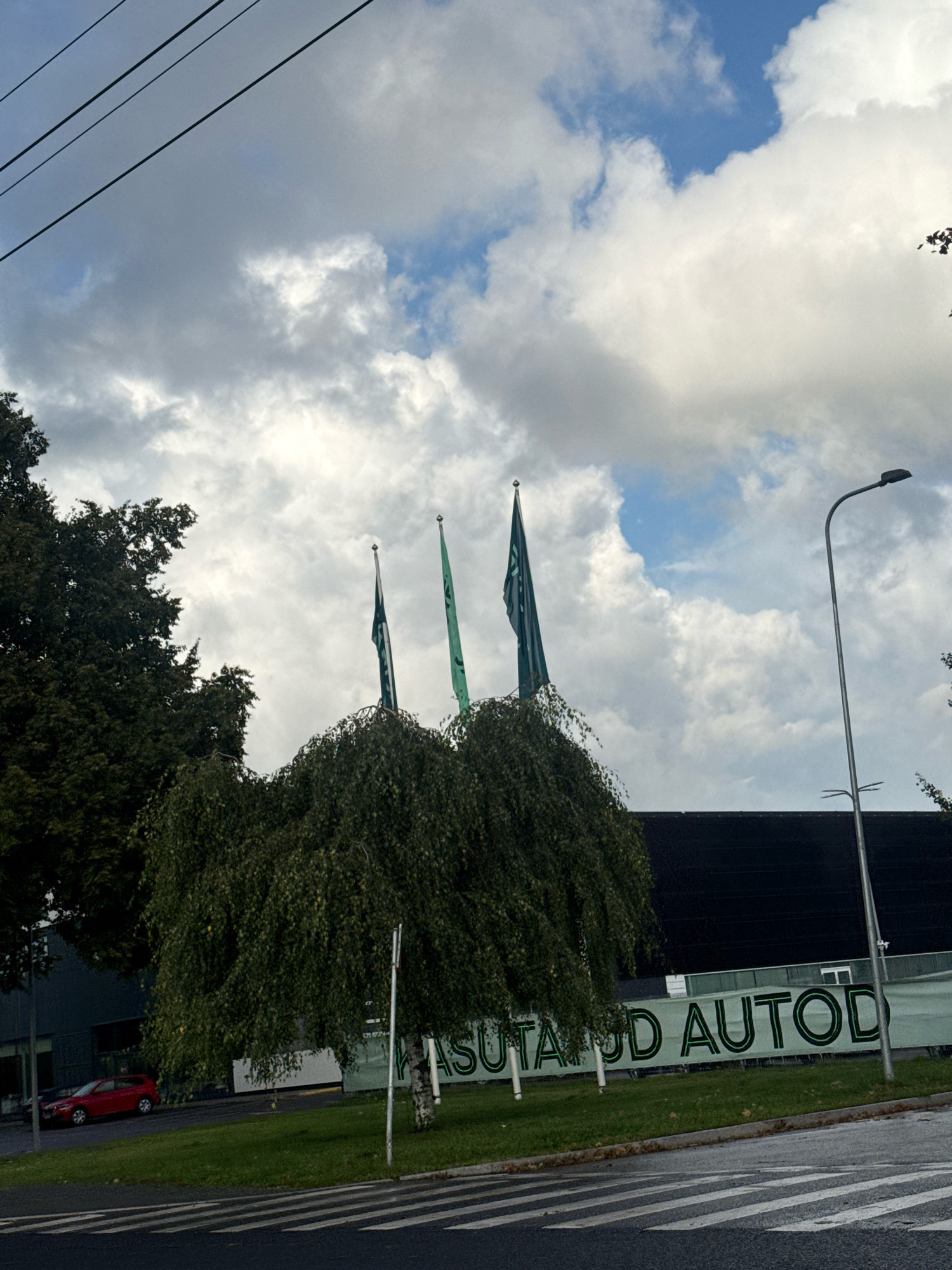 The image captures a cloudy day in Tallinn, Estonia. In the foreground, a street with a pedestrian crossing is visible. To the left, a red car is parked on the side of a grassy area. Behind the grass, a building with a dark facade is present. Three flags, two green and one with a dark pattern, are flying above the building. A large tree with dense foliage stands prominently in the middle of the scene, obscuring part of the building and the flags. To the right, a street lamp is positioned. A banner with green lettering that appears to read "ASUTA JD AUTOD" is stretched across the front of the building. The sky is filled with a mix of white and grey clouds, with patches of blue sky visible.