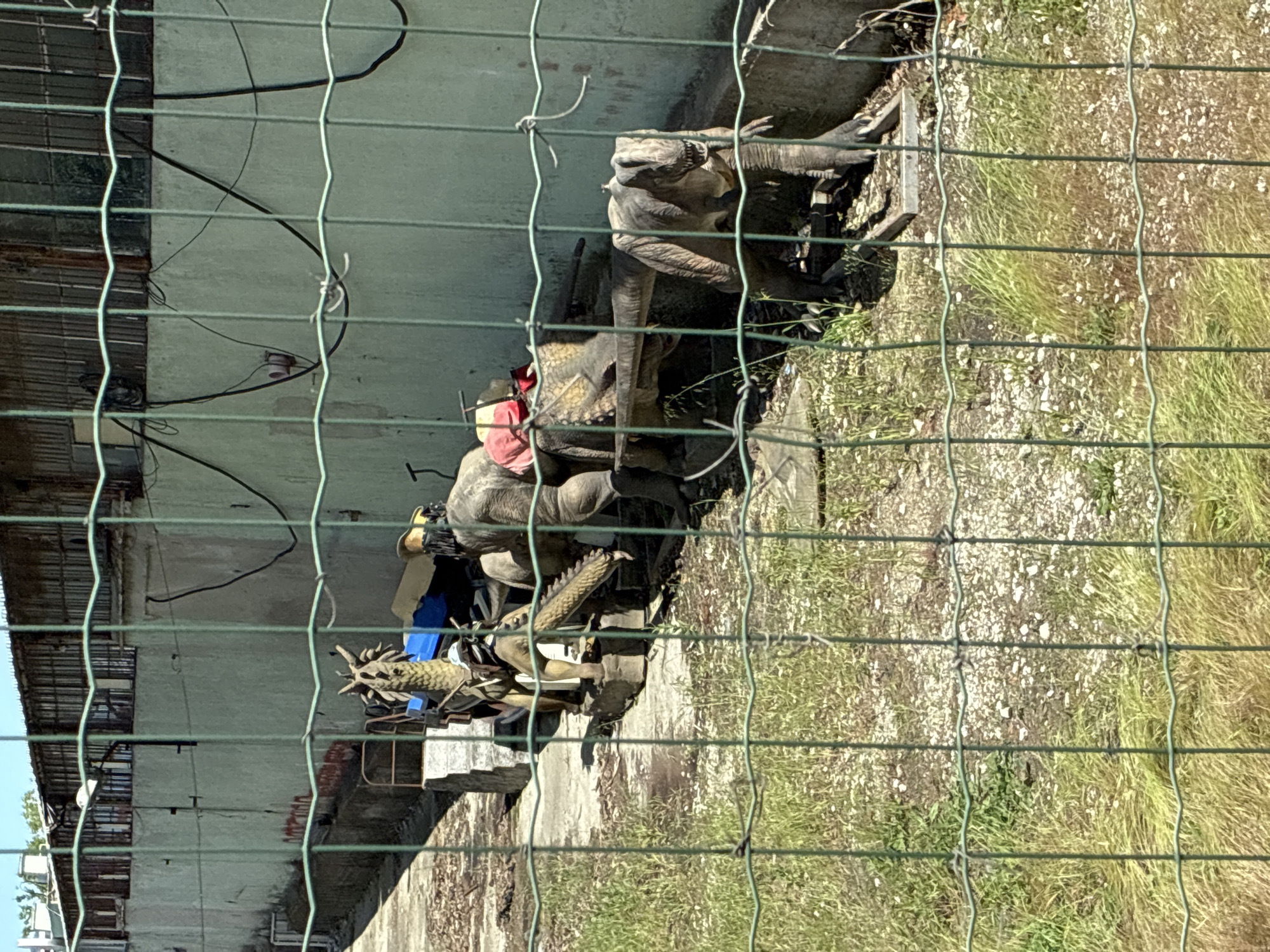 The scene, partially obscured by a green chain-link fence, shows a collection of what appears to be animatronic dinosaur models or large dinosaur statues placed outdoors against a concrete structure, potentially a building or wall. The models are in various states of disrepair, with some displaying damaged or missing components. A red and blue plastic container is visible amongst the models. The ground is a mixture of concrete, bare earth, and grassy vegetation. The concrete structure behind the models has exposed wiring and appears to be part of an older building. Given the presence of dinosaur models and the description of Varna, Bulgaria, it is possible that this area is a disused or neglected outdoor exhibit, possibly related to a former amusement park or educational display.