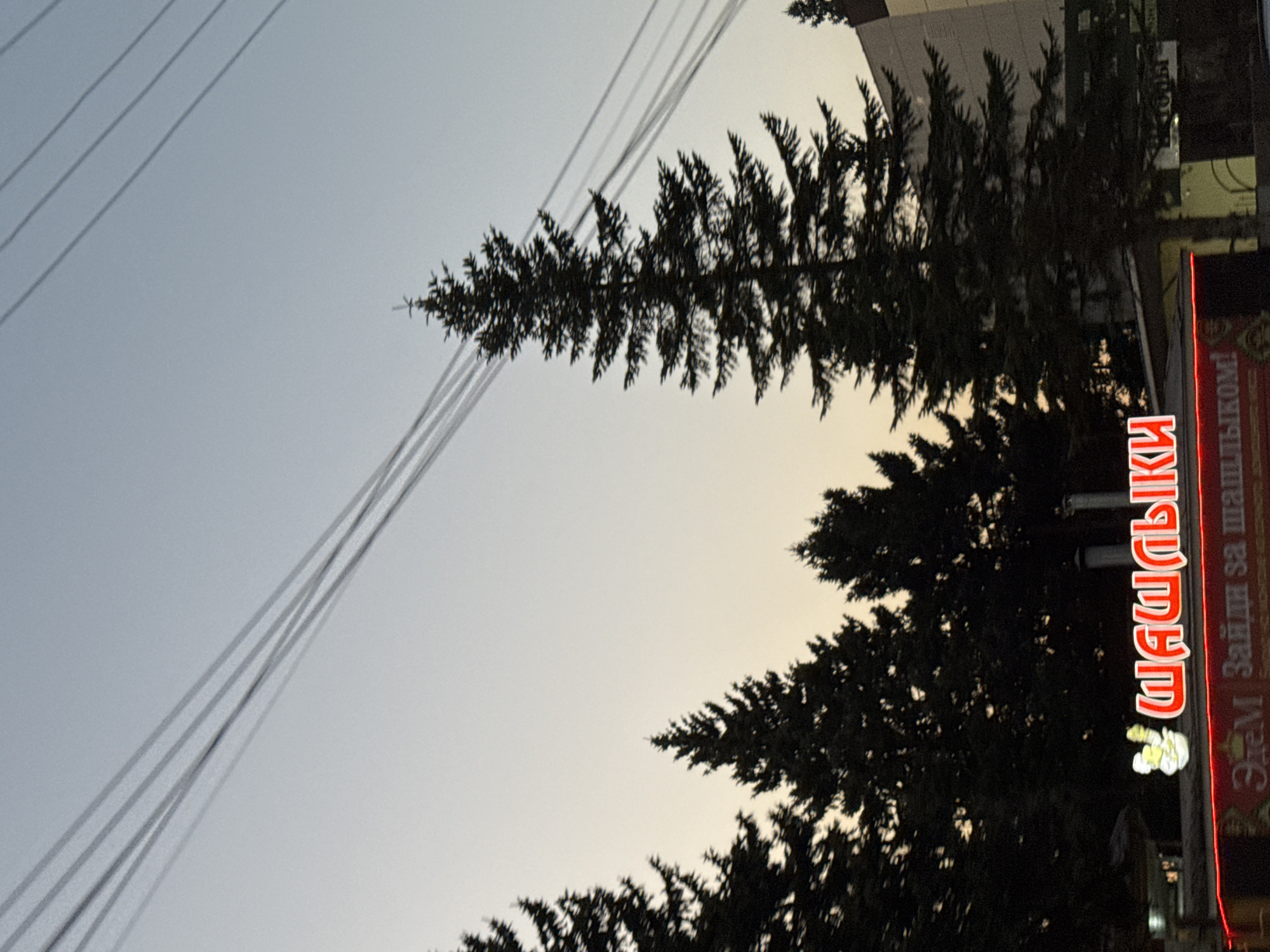The image captures a city scene with a clear sky and silhouetted evergreen trees. In the foreground, a neon sign with red lettering reads "ШАШЛЫКИ" and below it, "ЭЛЕМ Зайди за шашлыком!". This suggests the presence of a food establishment, likely a kebab or shashlik restaurant. The sky is a pale gradient, transitioning from a light blue at the top to a warmer, yellowish hue near the horizon, indicating it might be dusk or dawn. Power lines are visible strung across the upper portion of the image, crossing over the trees and sky. The overall atmosphere is that of an urban setting at twilight, with a focus on the illuminated signage.