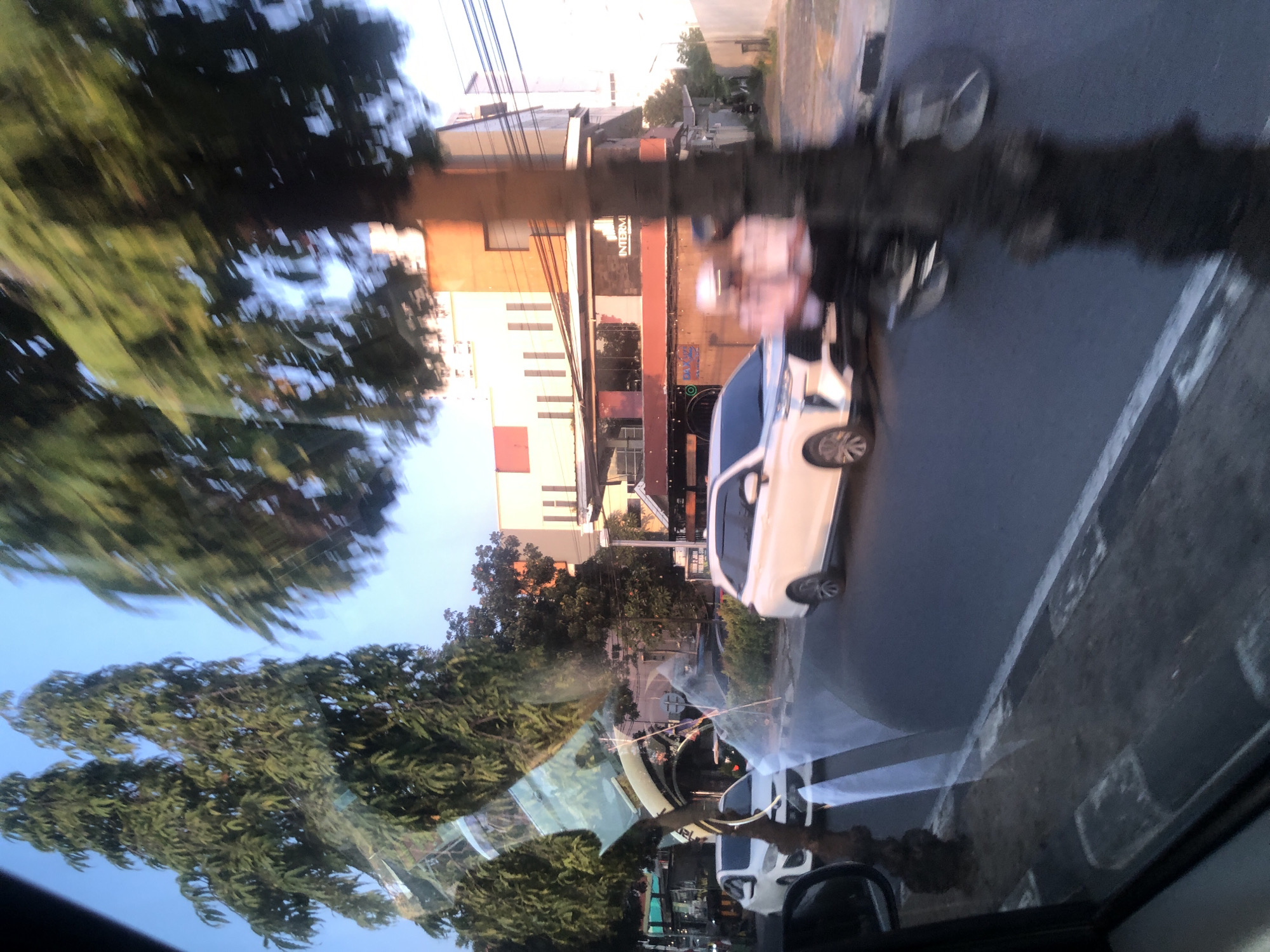 A low-angle, slightly blurry, outdoor shot taken from inside a vehicle looks out onto a city street in Medan, Indonesia. Tall, leafy trees line the left side of the street, with their branches casting shadows on the road. Several cars, including a white sedan and a white MPV, are visible. A motorcycle with two figures on it is moving down the street, blurred due to motion. Buildings with modern architecture, some with orange accents, rise behind the trees and street. The sky is clear and a pale blue. The scene appears to be captured during daylight hours, possibly late afternoon or early morning, given the soft lighting. The street is paved and has a white line marking the edge of the lane. The image has a sense of movement and is taken from a moving perspective.