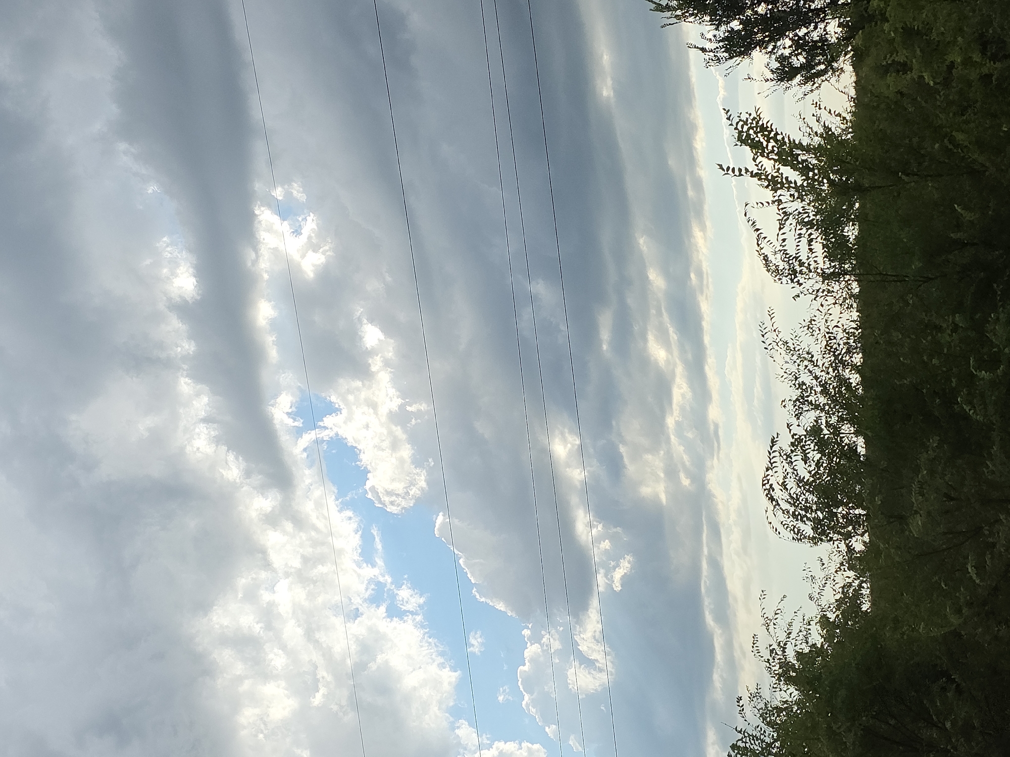 This is an outdoor, eye-level, vertical, full shot photograph of a cloudy sky above a line of trees. The sky is filled with a mix of dark gray and white clouds, with patches of blue sky visible in between. There are four thin, dark power lines running horizontally across the frame. The trees at the bottom of the image are lush and green, with some branches appearing to sway in the wind. The lighting suggests it is daytime, possibly late afternoon or early evening, given the diffused light. The location is described as the Troitsk urban district, Russia, and the scene depicts a natural landscape with man-made elements of power lines. There are no people or animals visible in the image.