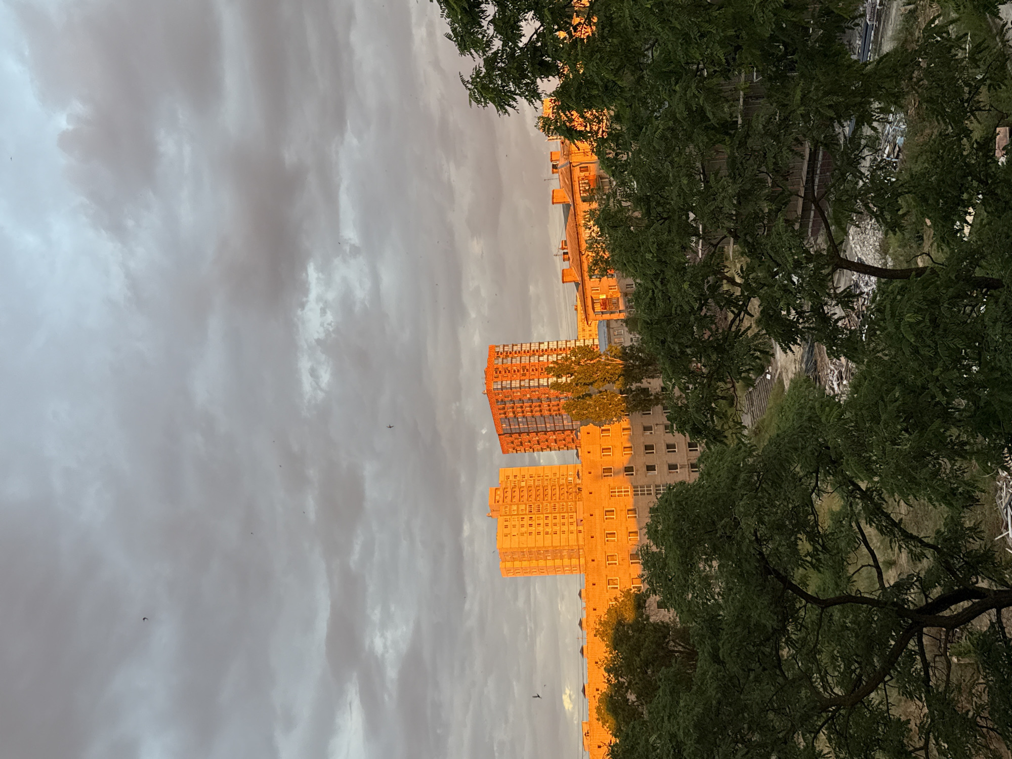 The image captures a cityscape in Volgograd, Russia, during a sunset. Two prominent apartment buildings, one orange and one orange-brown, are illuminated by the setting sun. In the foreground, dense green trees partially obscure a lower-rise building and what appears to be a construction site or debris-filled area. The sky is filled with dramatic, grey clouds, with a few small birds visible in flight. The overall scene suggests an urban environment transitioning from day to evening.