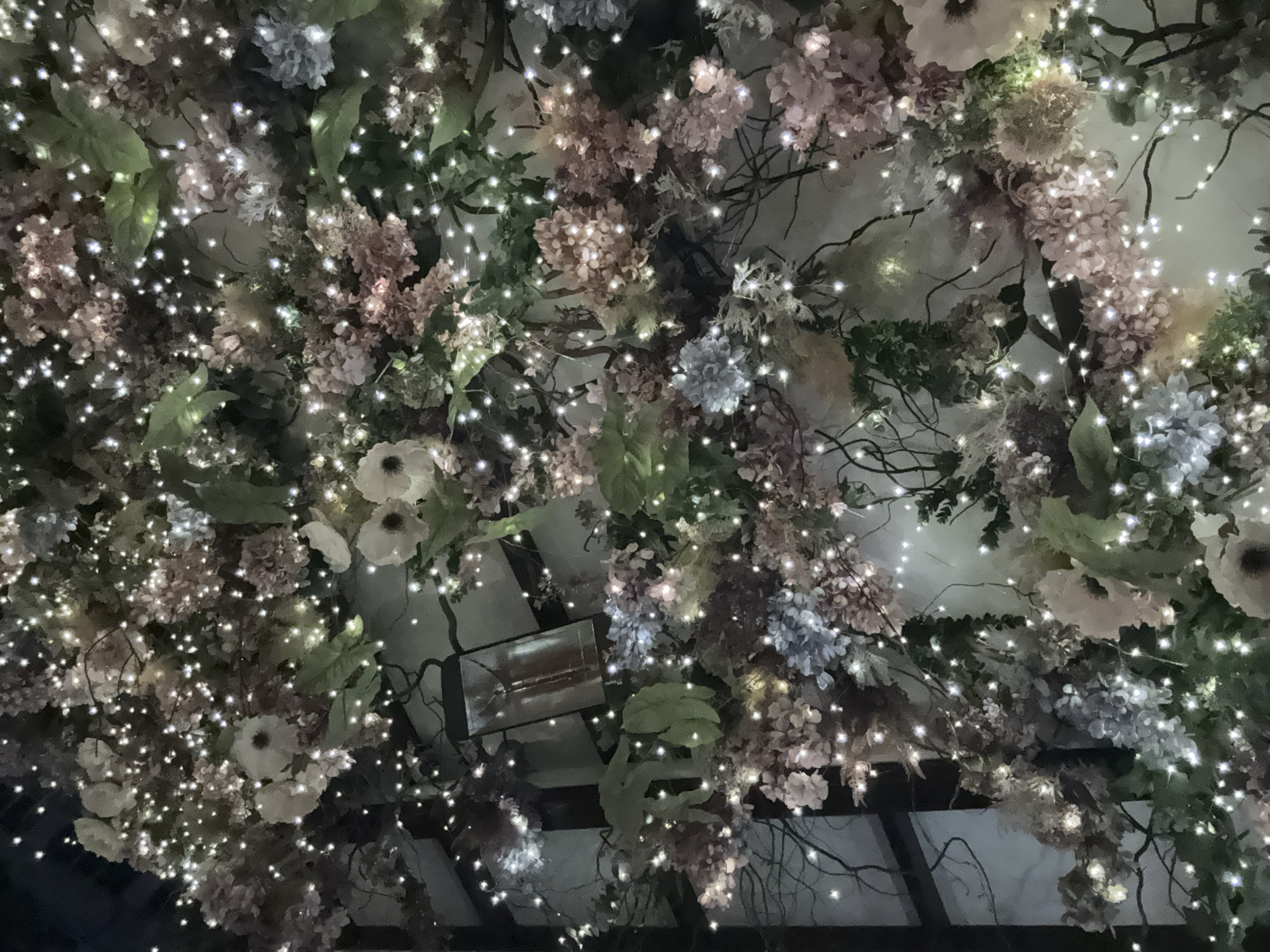 The image shows a decorative ceiling adorned with flowers, foliage, and string lights. Various types of flowers in shades of white, pink, and blue are interspersed with green leaves and thin branches. Numerous small, warm-toned string lights are woven throughout the floral arrangement, creating a twinkling effect. A rectangular object, possibly a lighting fixture or ventilation component, is partially visible within the foliage. The scene is indoors, possibly a restaurant, bar, or event space. The lighting is dim, highlighting the string lights and the textures of the flowers and leaves. Location details for Sofia, Bulgaria are not found.