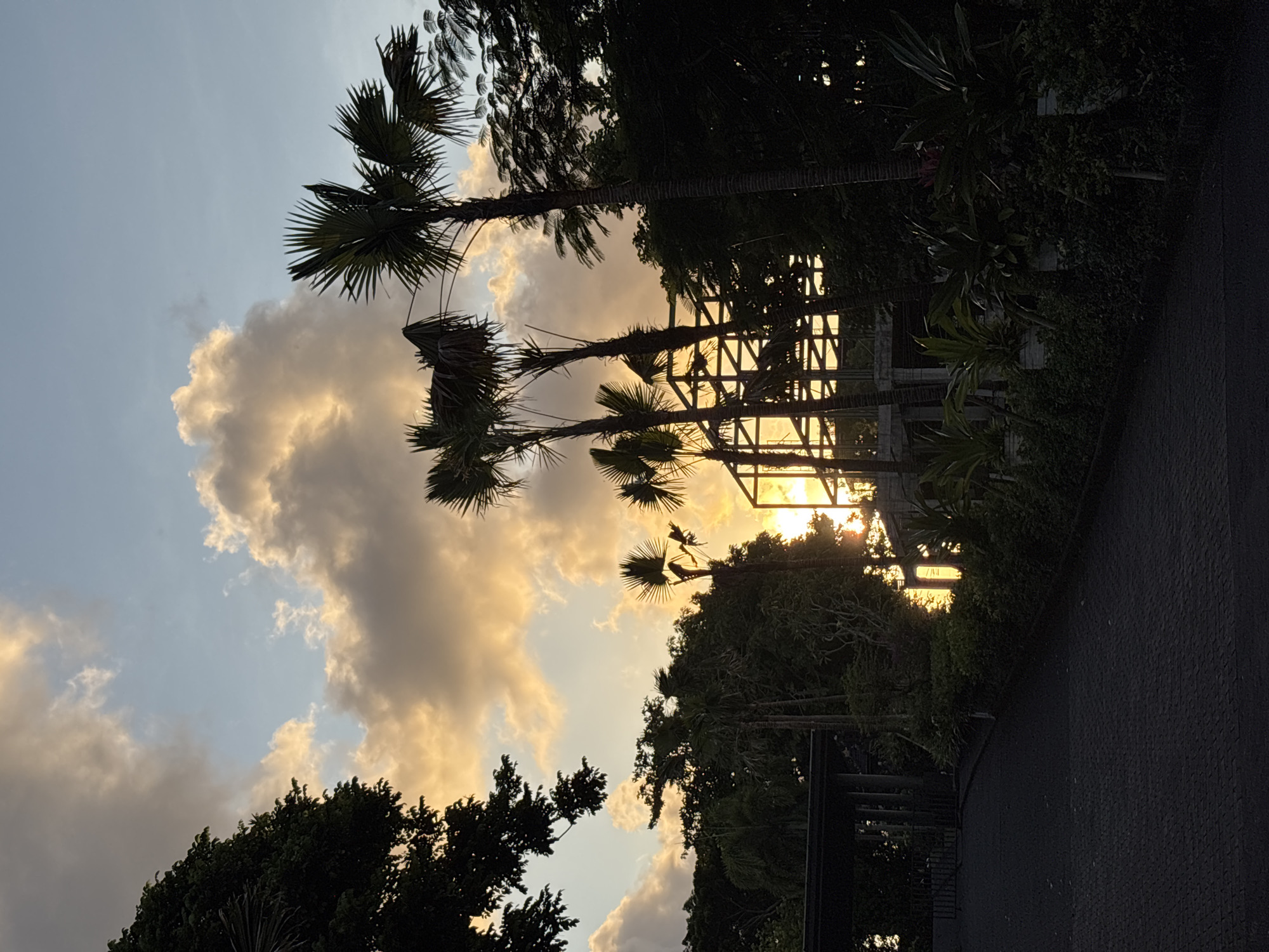 The image depicts a sunset scene in Kuta Selatan, Indonesia, featuring a mix of natural and built elements. The sky is filled with clouds, some illuminated by the setting sun. Silhouetted palm trees are positioned against the sky, with the structural beams of a building visible through the gaps in the foliage. Dense vegetation, including various trees and plants, lines the right side of the frame. A paved road or walkway is present in the foreground. The overall scene suggests a tropical environment at dusk.