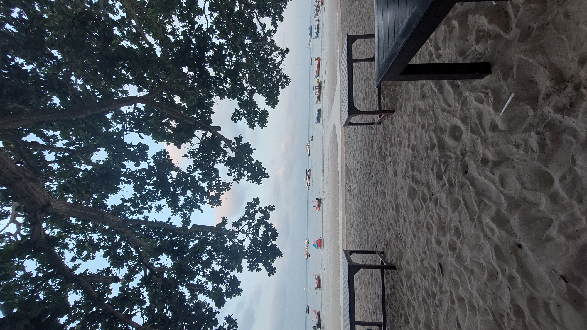 The image depicts a beach scene, likely in Koh Tao, Thailand, based on the presence of traditional longtail boats in the water. The scene is composed of a tree on the left side of the frame, partially obscuring the sky. In the center, the beach leads to the water where several boats are anchored. On the right side, a portion of a dark-colored table with legs is visible on the sand. The sand appears to be light in color, and the water is calm. The sky is a pale blue with hints of clouds. The lighting suggests it could be early morning or late afternoon.