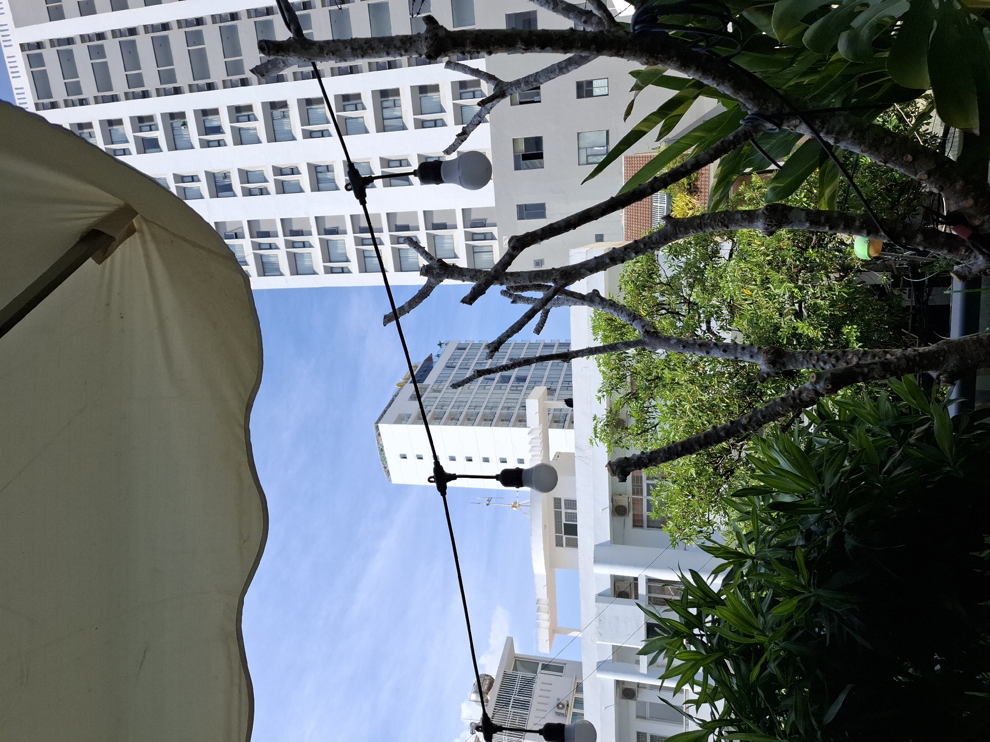 The image captures an outdoor scene looking upwards from beneath a large, light-colored umbrella. In the background, several modern white buildings with numerous windows dominate the frame, suggesting an urban environment. The sky is a clear blue with a few wispy clouds.
Strung between the buildings and overhead, a series of black wires hold large, white LED bulbs, indicating some form of outdoor lighting, possibly for an evening gathering or ambiance. The branches of a tree, bare of leaves, crisscross the upper portion of the image, with some lush green foliage visible to the right, peeking out from behind the branches and the umbrella.
The perspective is from below, looking up towards the sky and the surrounding architecture, with the umbrella's canopy creating a large, curved foreground element that obscures part of the view. The overall impression is one of a sunny day, likely daytime, in a city with high-rise buildings and some greenery. The presence of the umbrella and string lights suggests a public space, perhaps a cafe, restaurant, or hotel courtyard in Nha Trang, Vietnam. There is no visible text in the image.